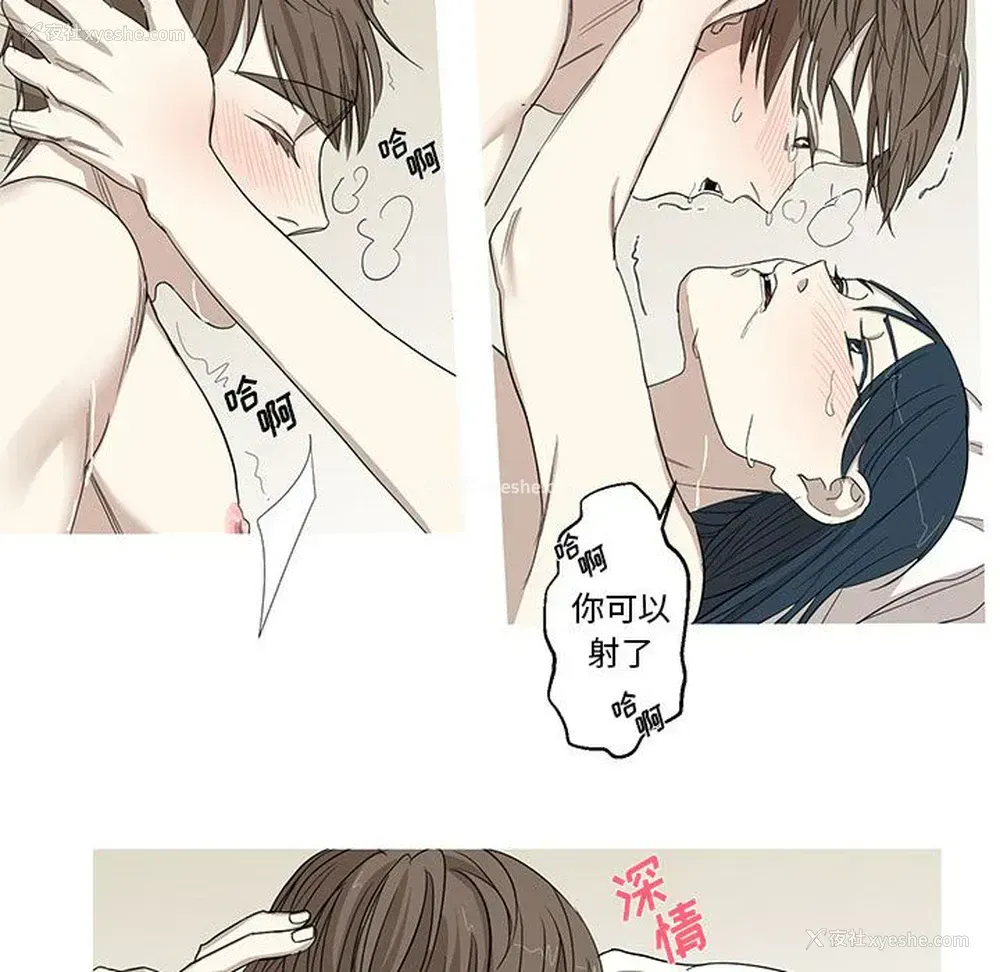 32P - 家有兔老公！