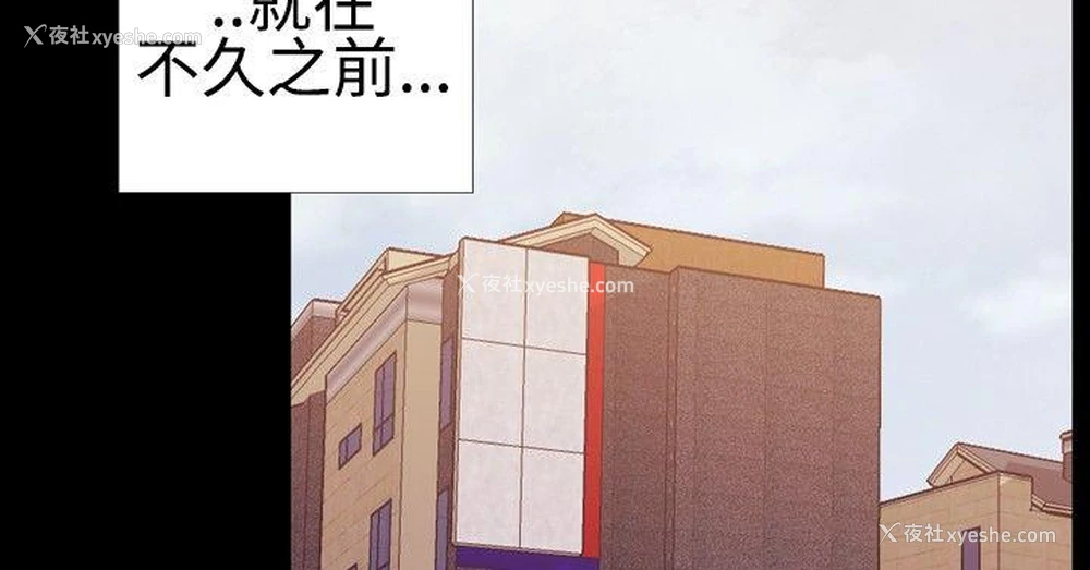 7P - 粉红报告书