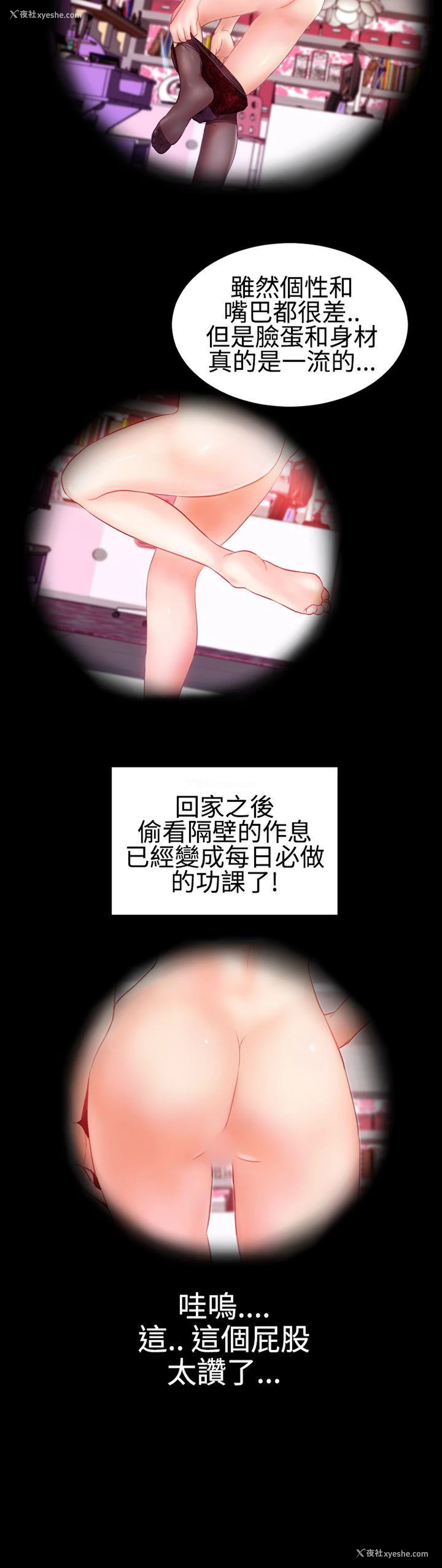 15P - 粉红报告书