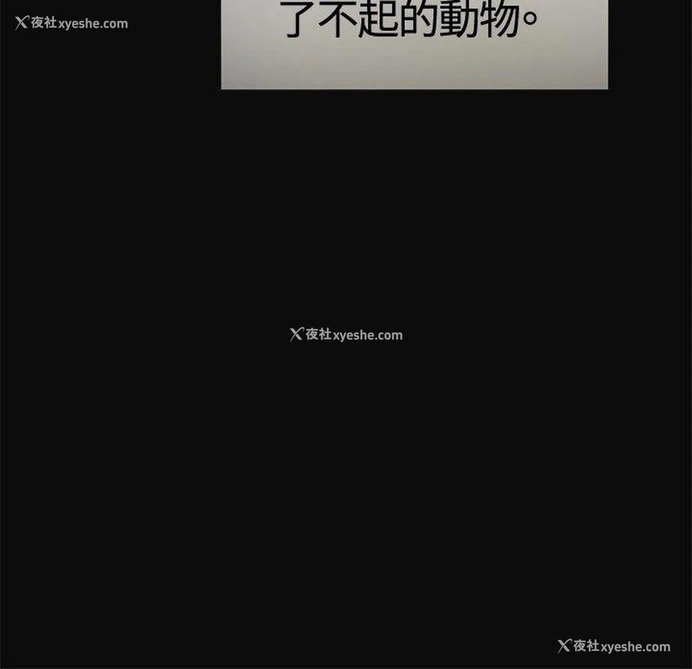 14P - 偶然
