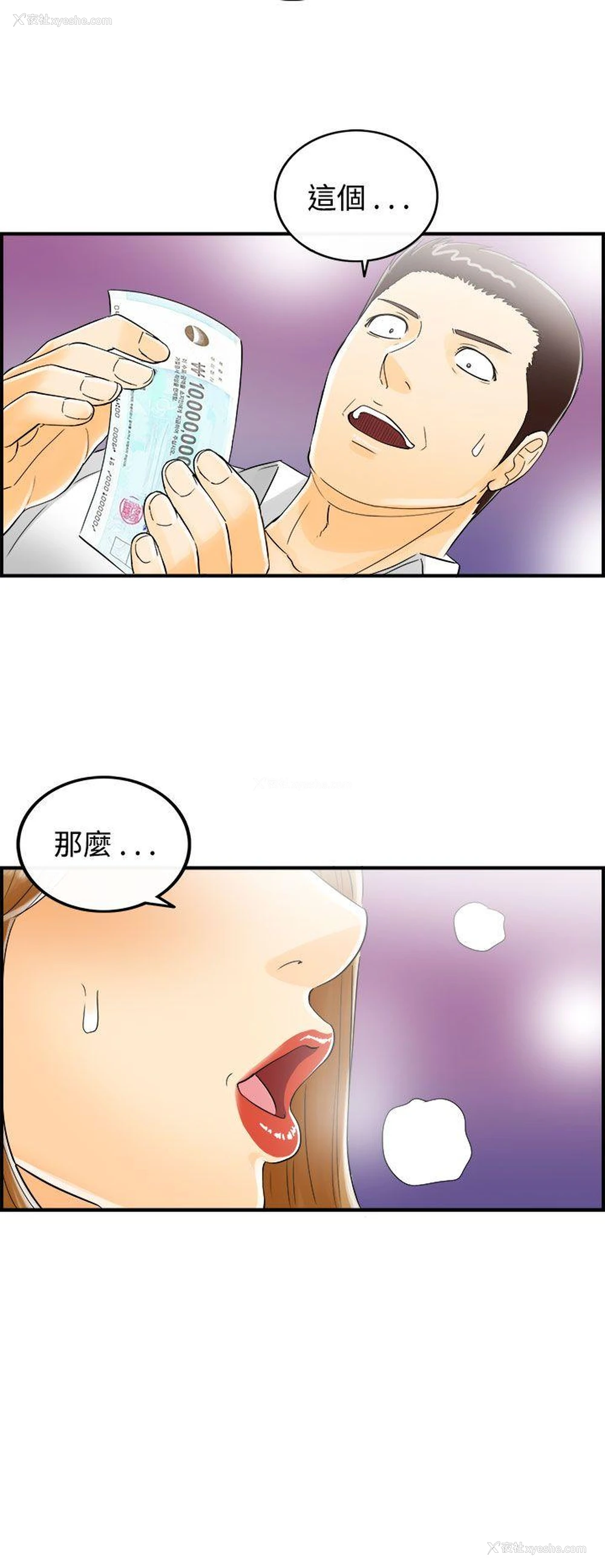 20P - 离婚报告书