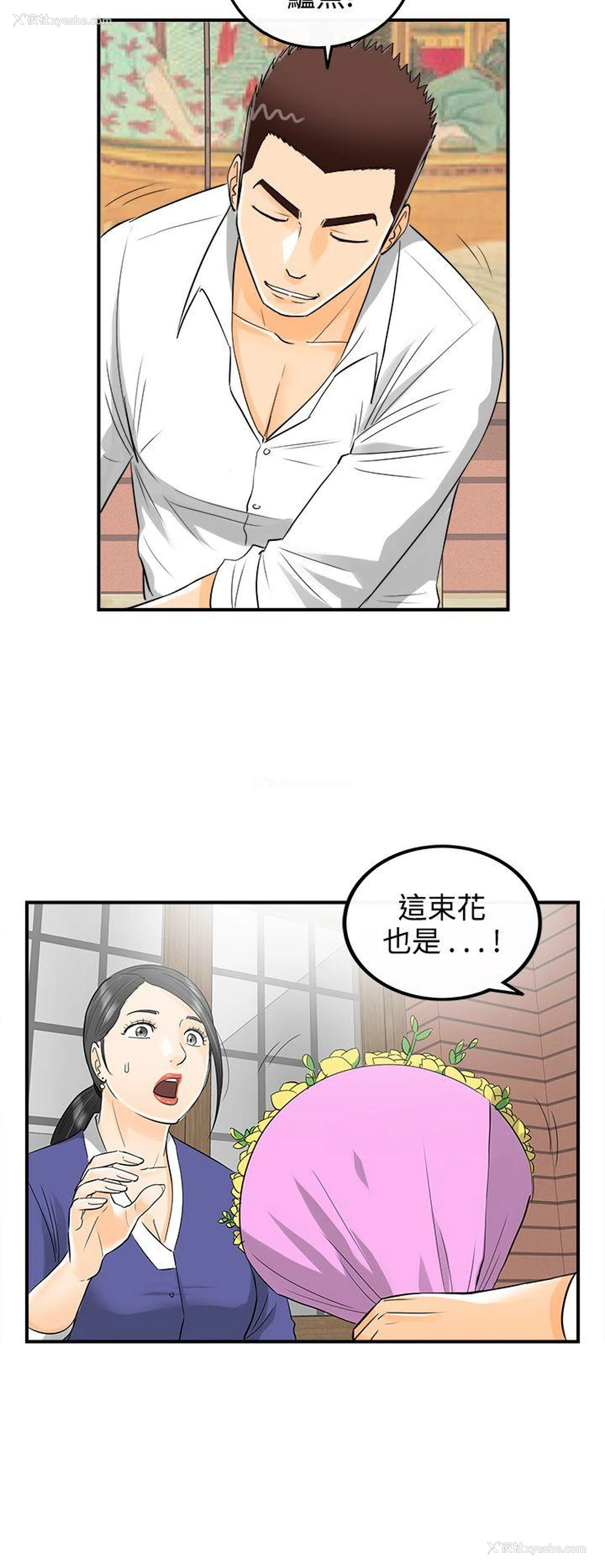 4P - 离婚报告书