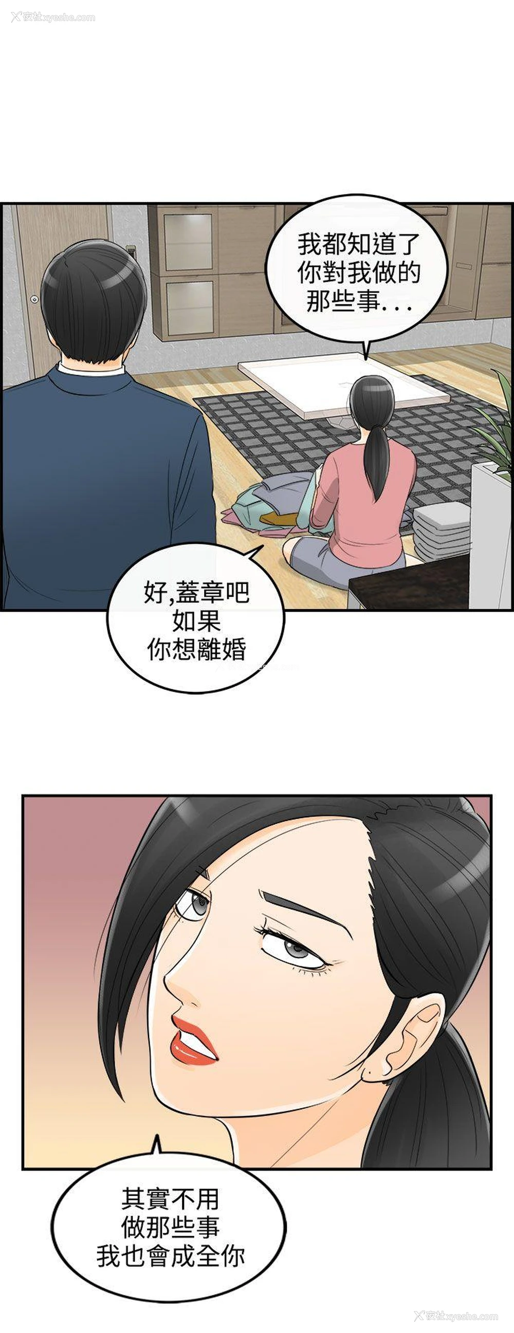 22P - 离婚报告书