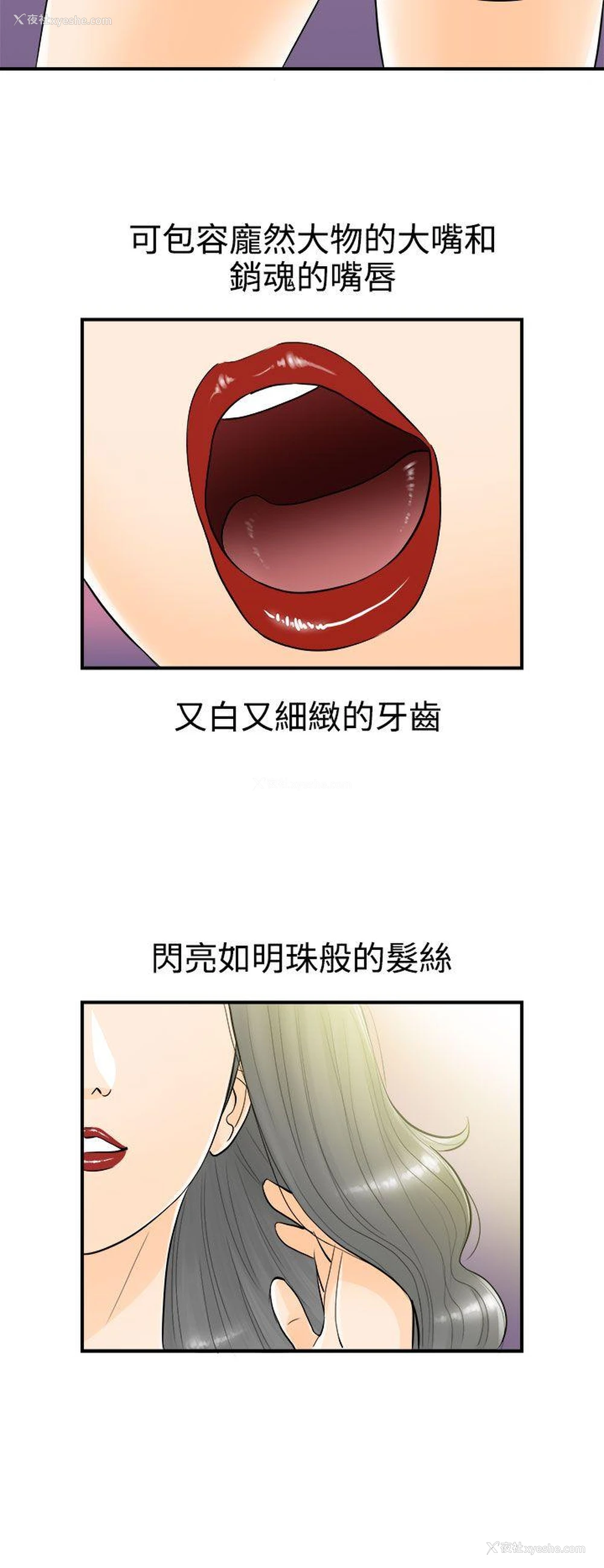 16P - 离婚报告书