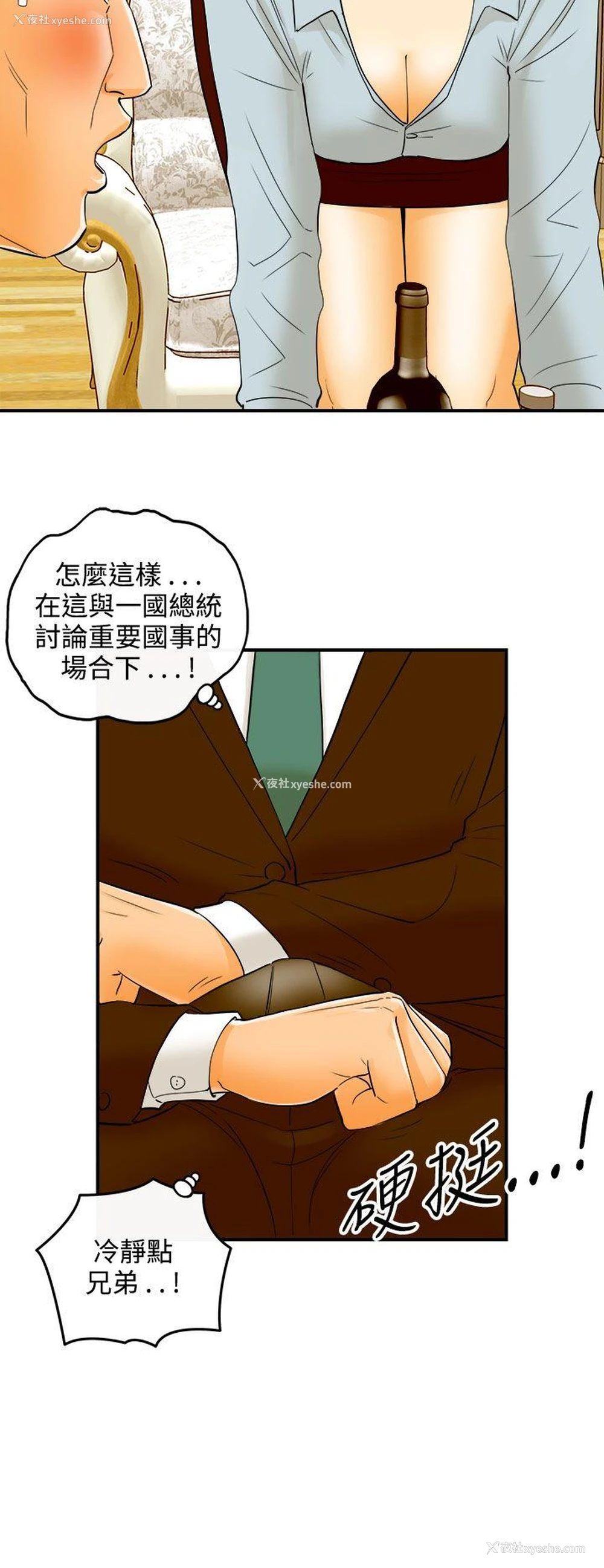 20P - 离婚报告书