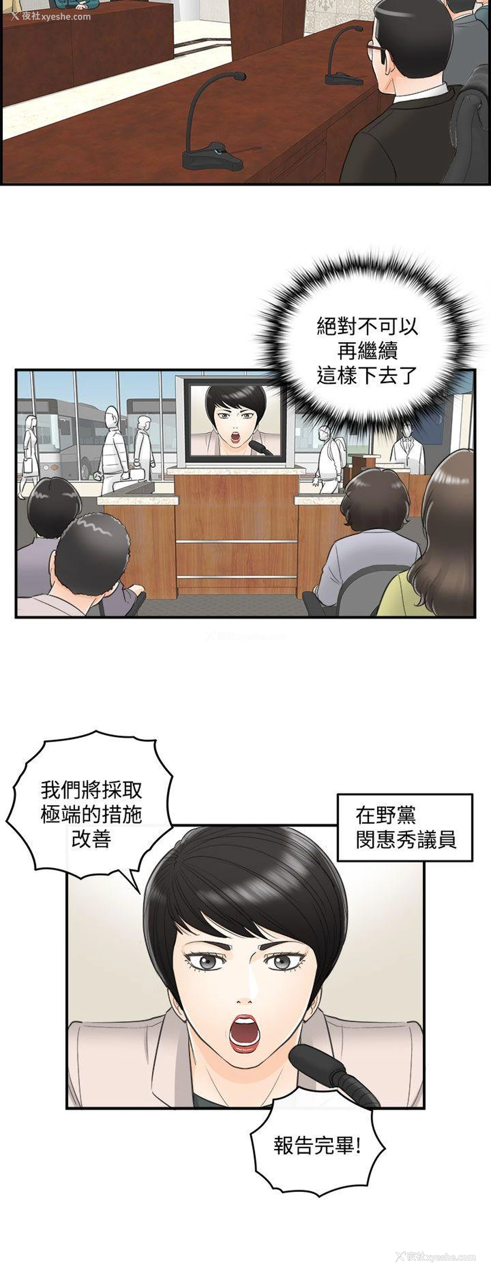 12P - 离婚报告书
