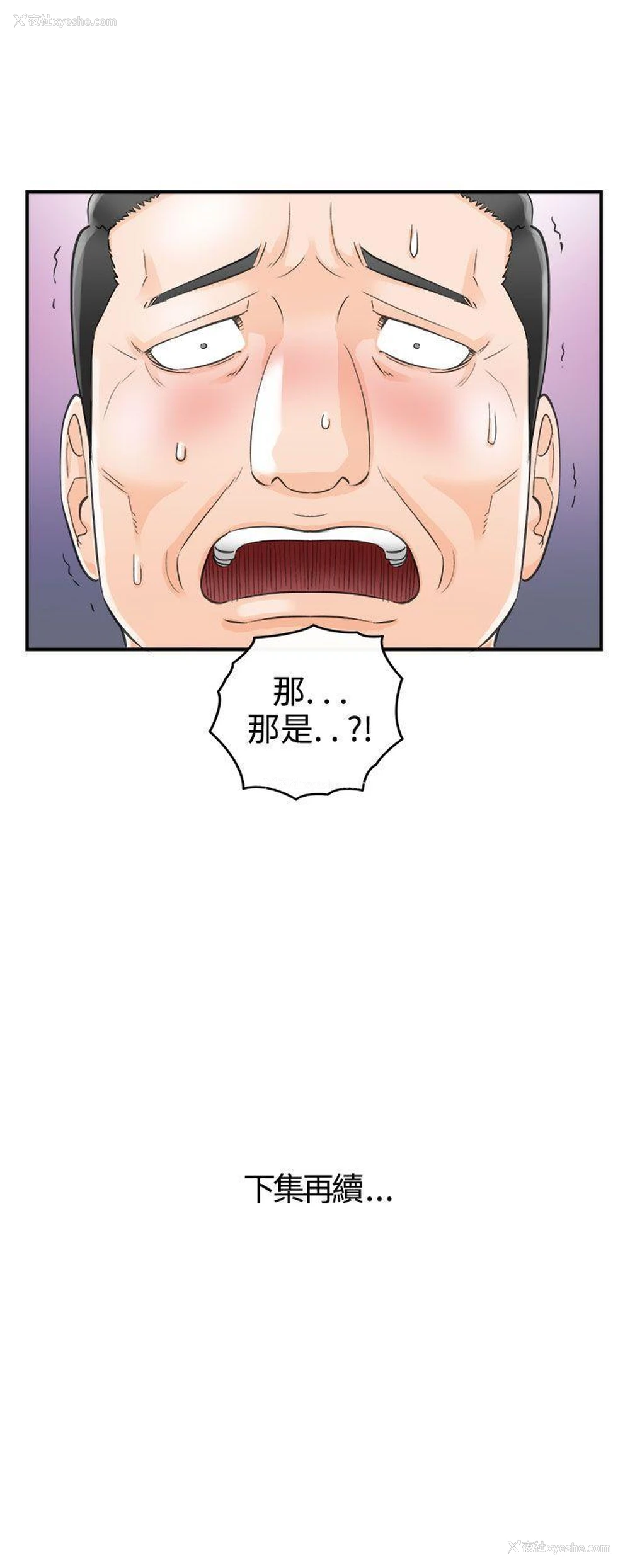 21P - 离婚报告书