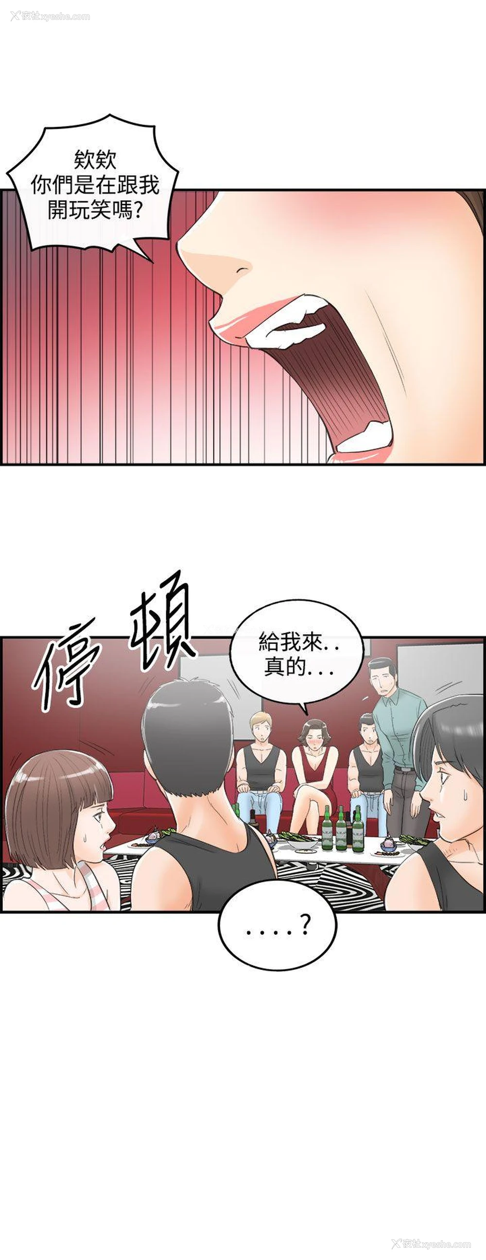 20P - 离婚报告书
