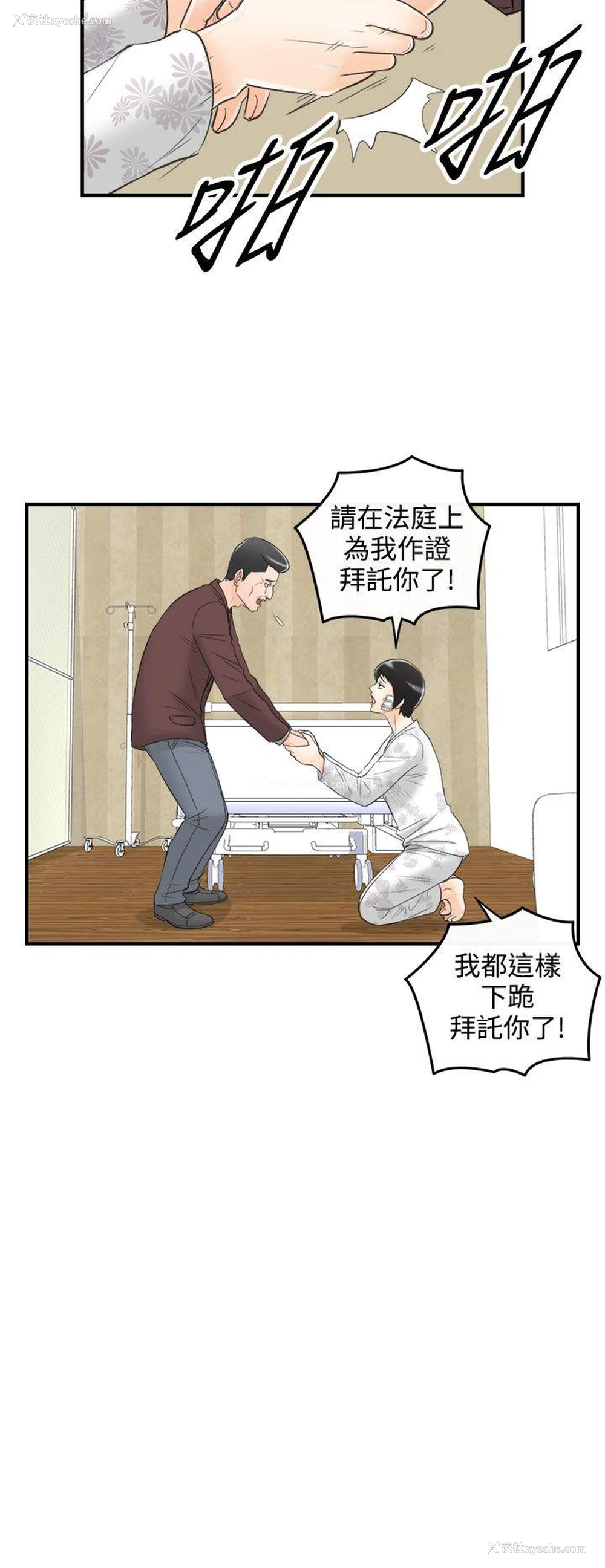 6P - 离婚报告书