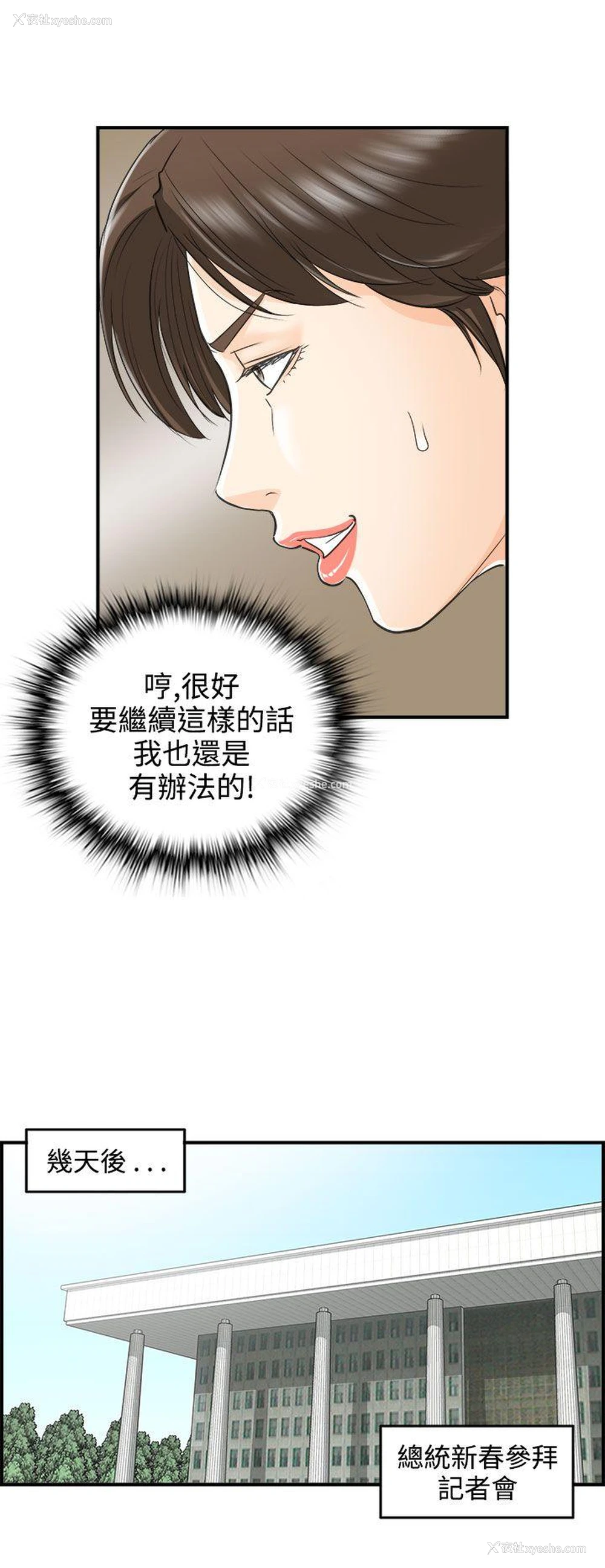 20P - 离婚报告书