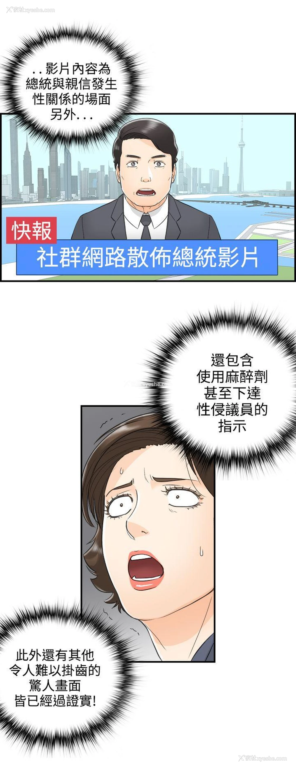 20P - 离婚报告书