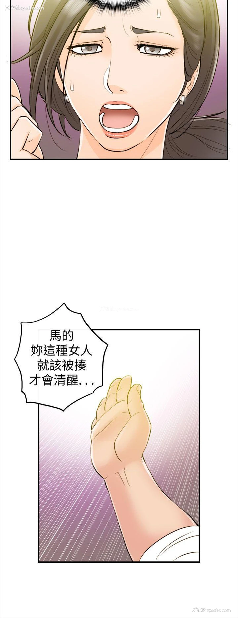 16P - 离婚报告书