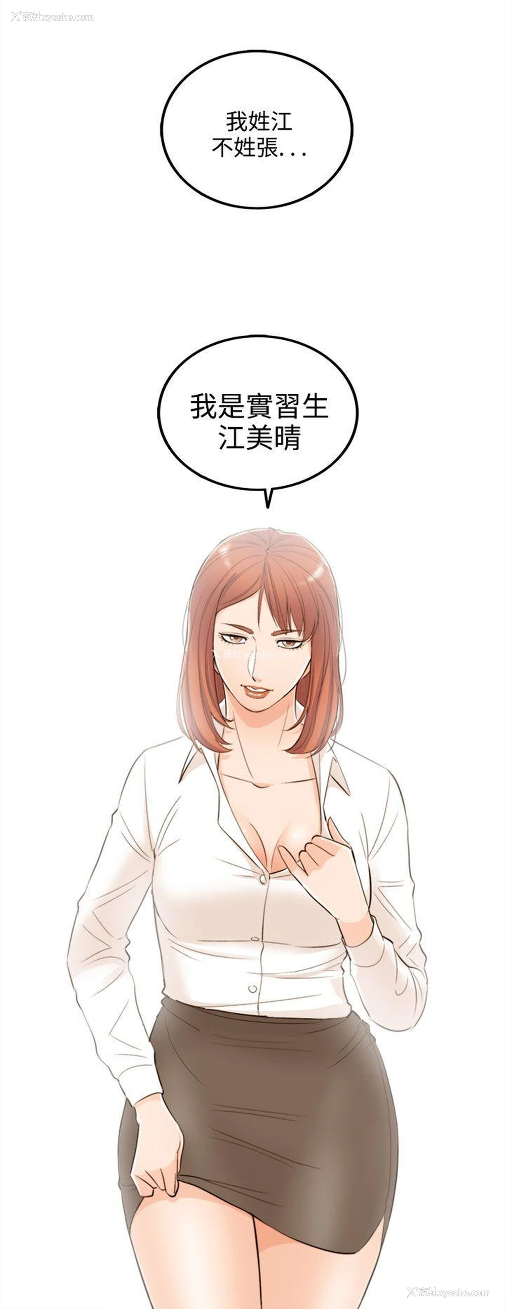 22P - 离婚报告书