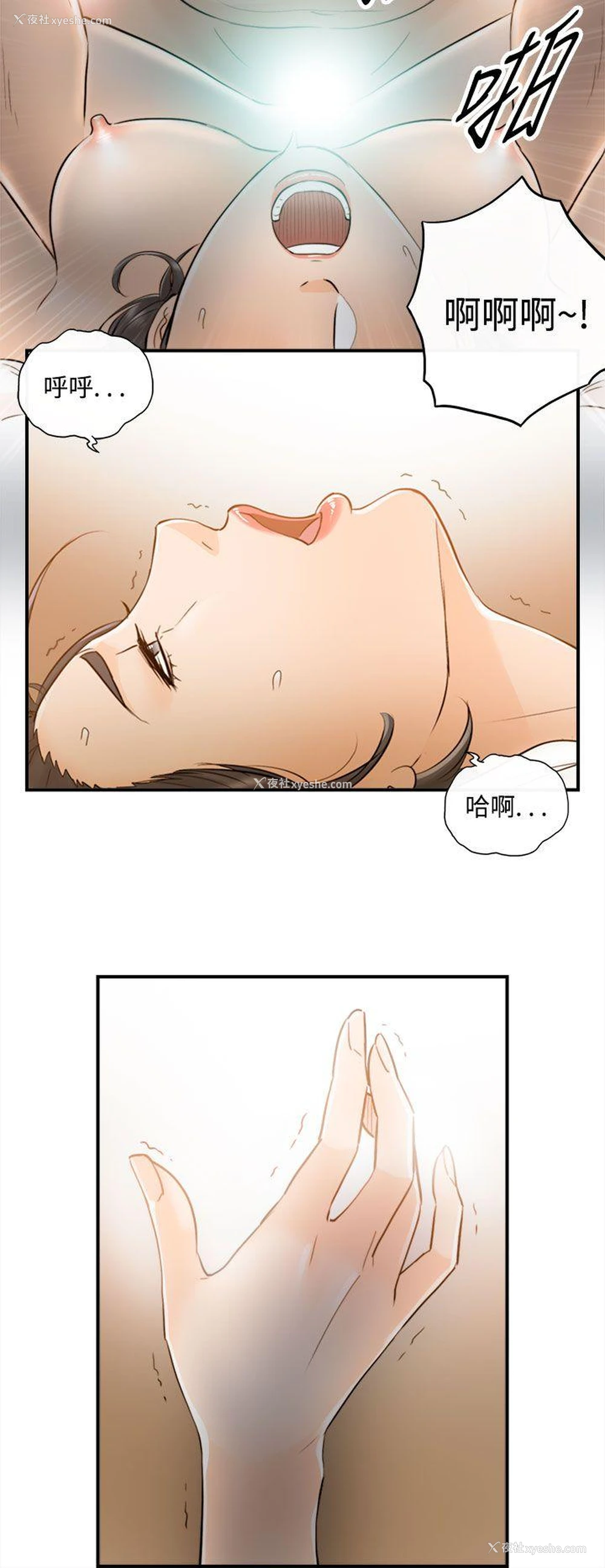 10P - 离婚报告书
