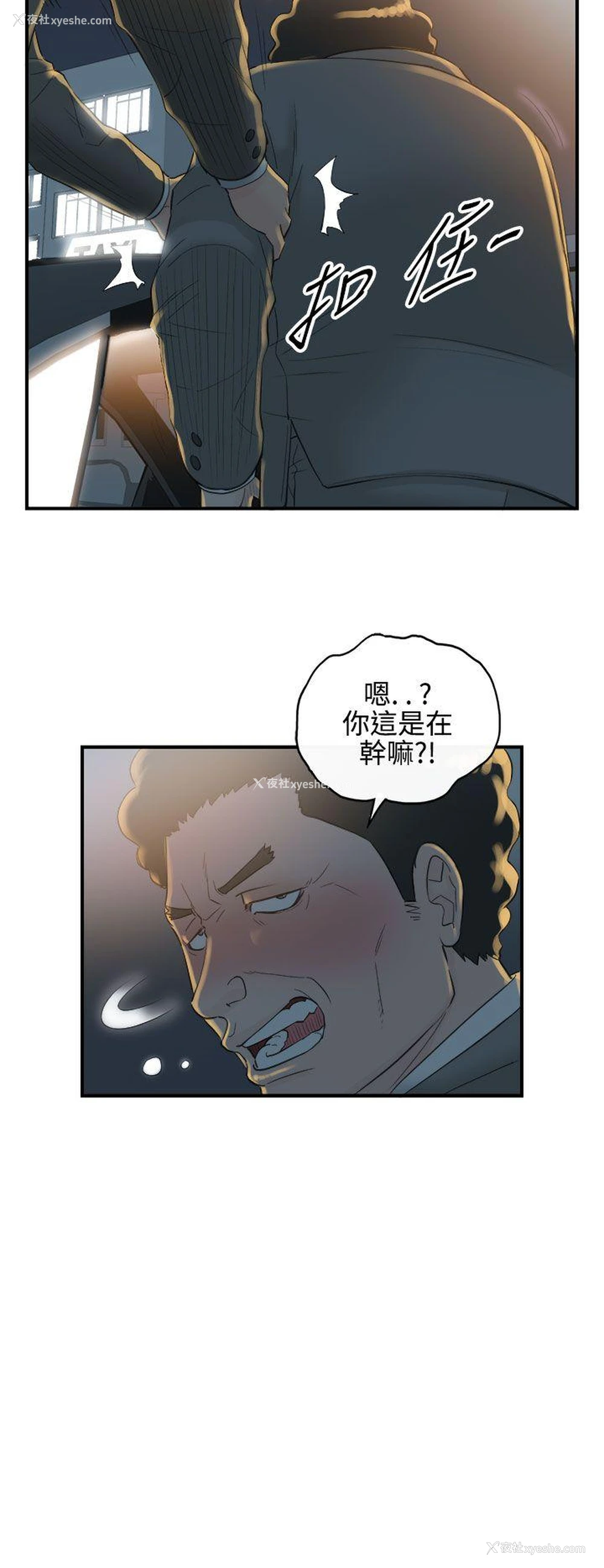 22P - 离婚报告书