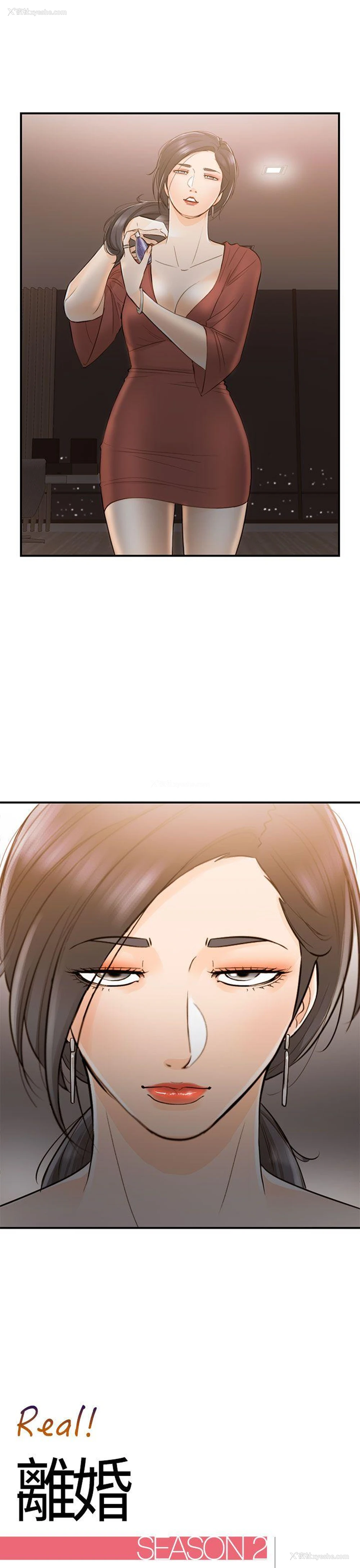1P - 离婚报告书