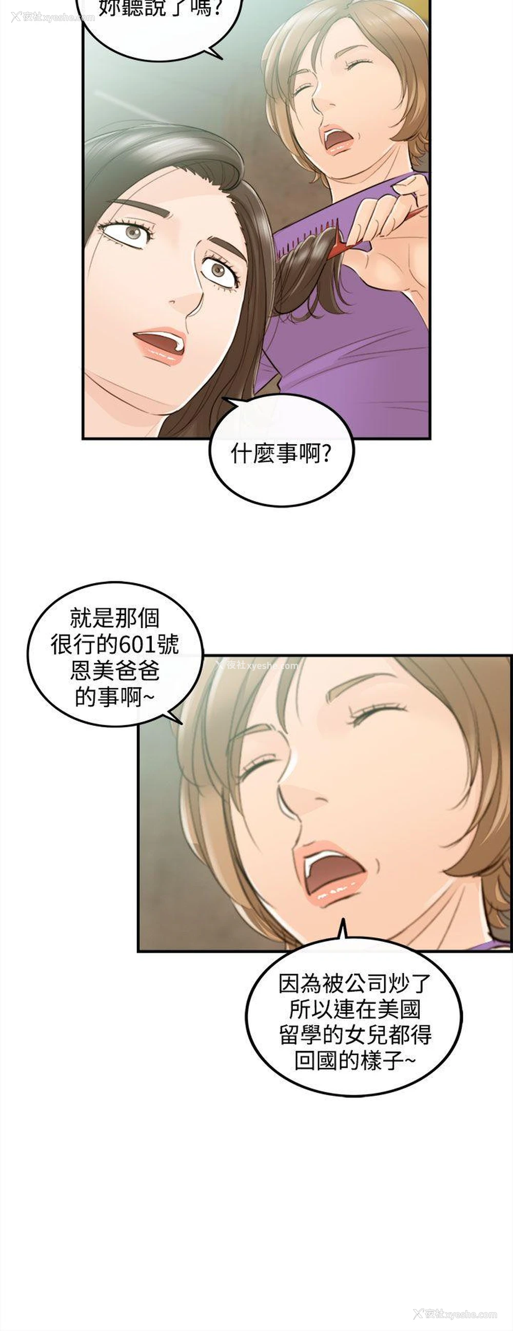22P - 离婚报告书