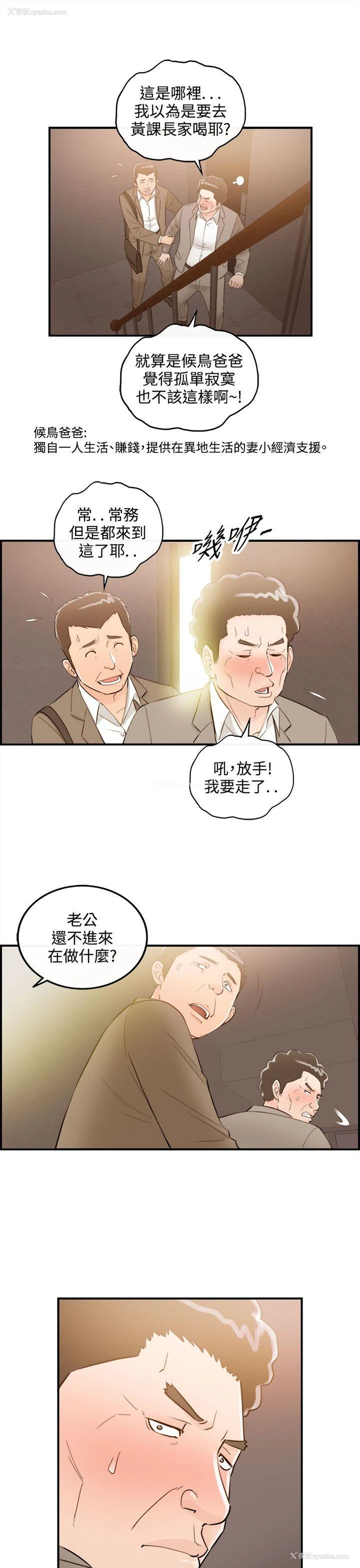 3P - 离婚报告书
