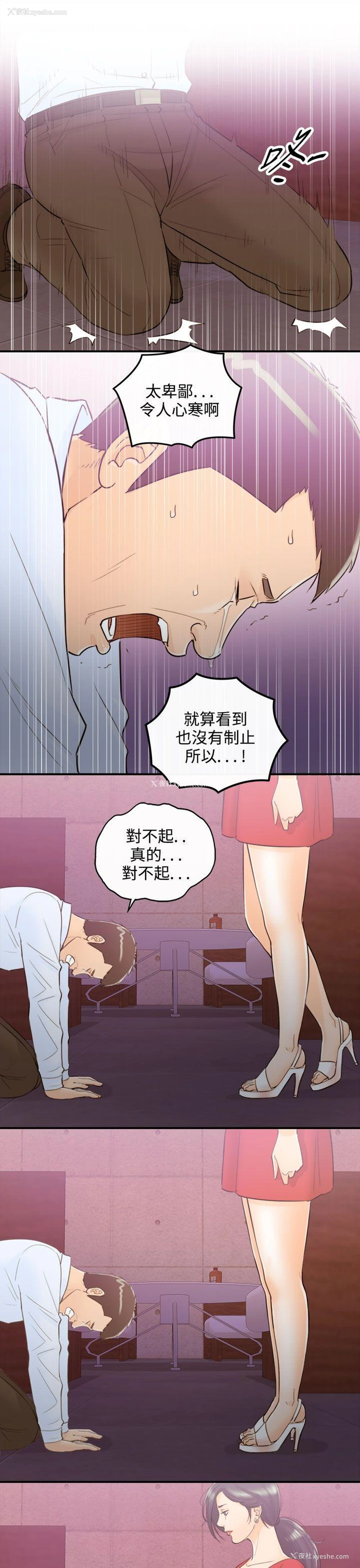 13P - 离婚报告书