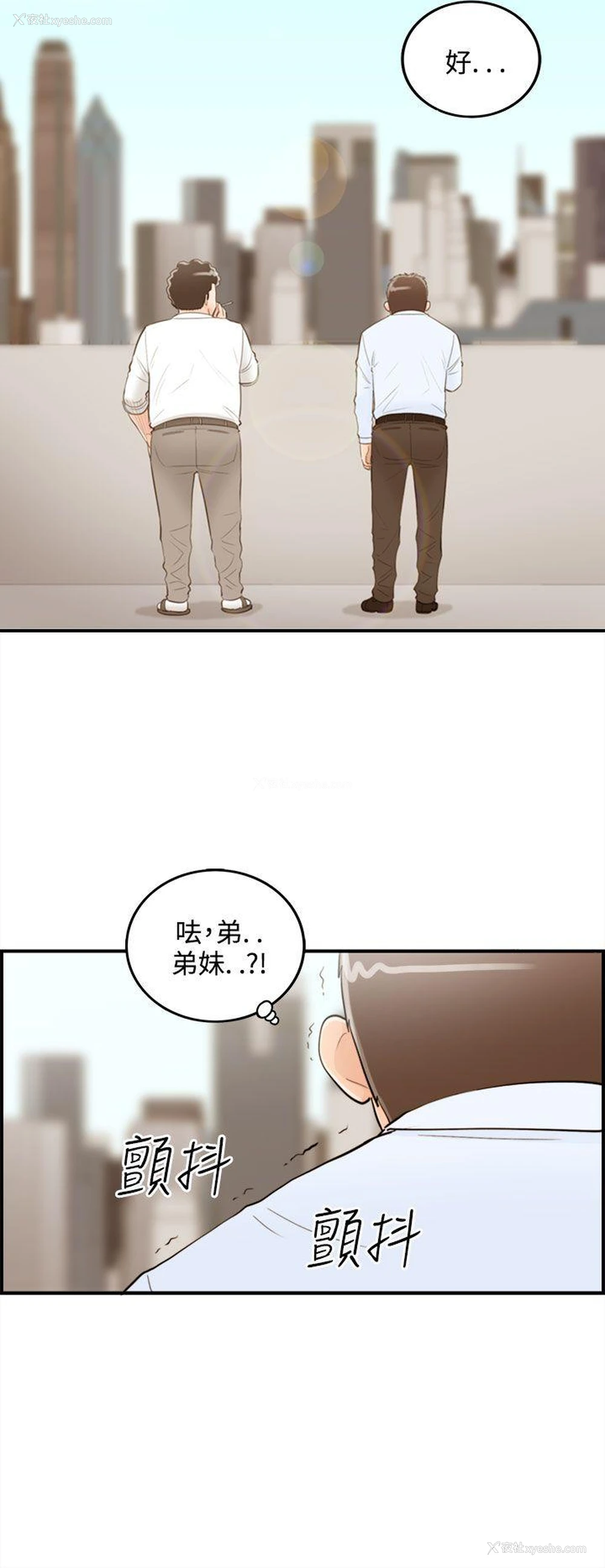 8P - 离婚报告书