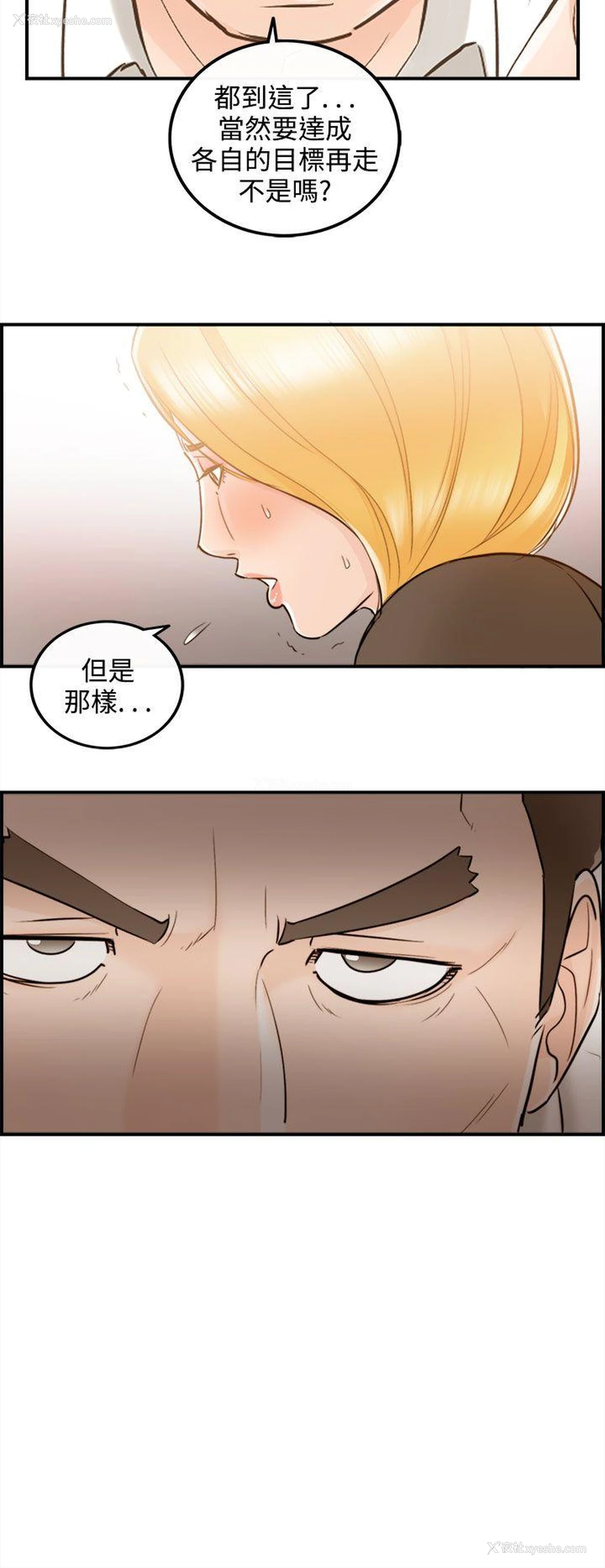 14P - 离婚报告书