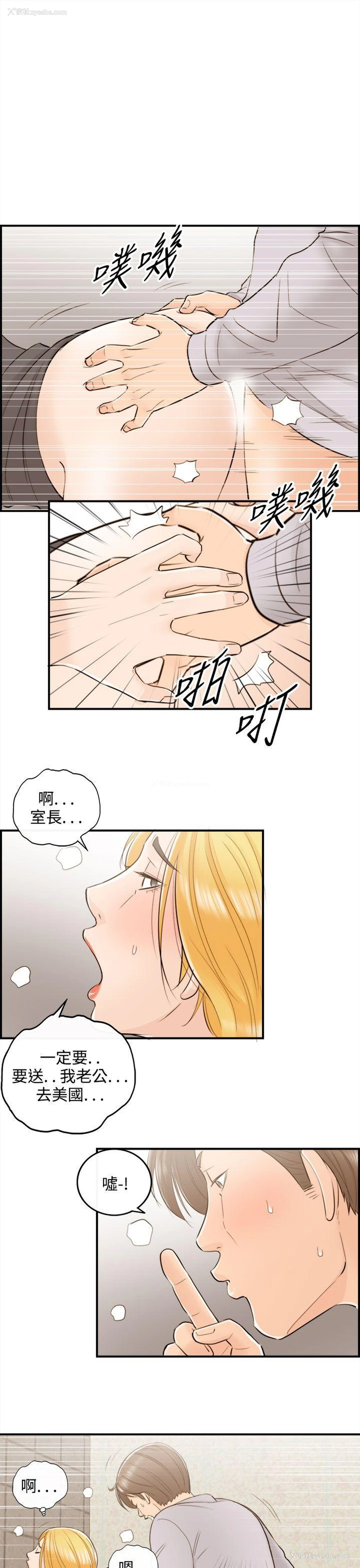 11P - 离婚报告书