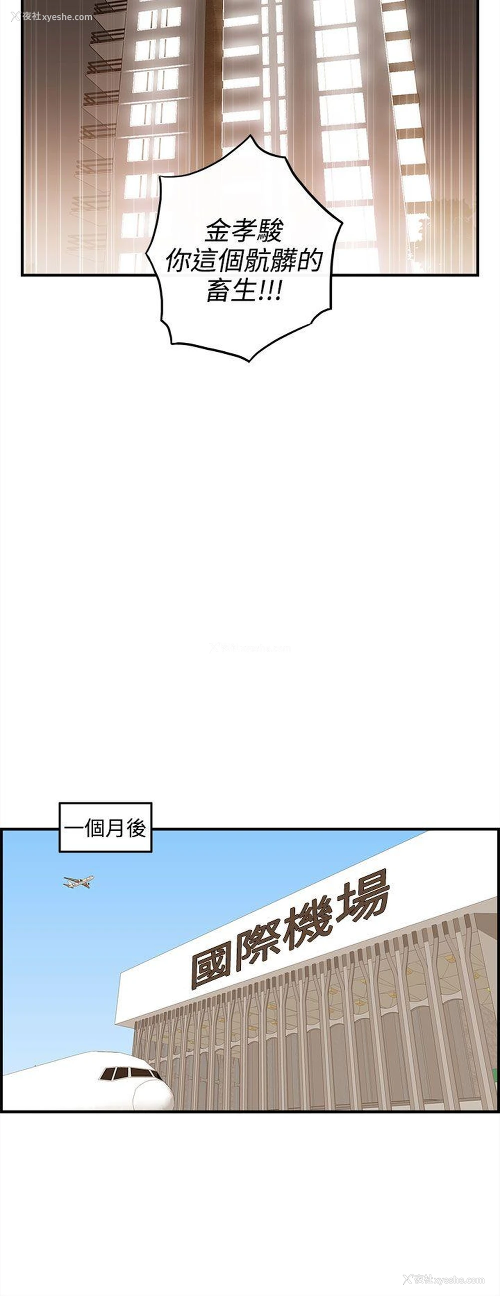 16P - 离婚报告书