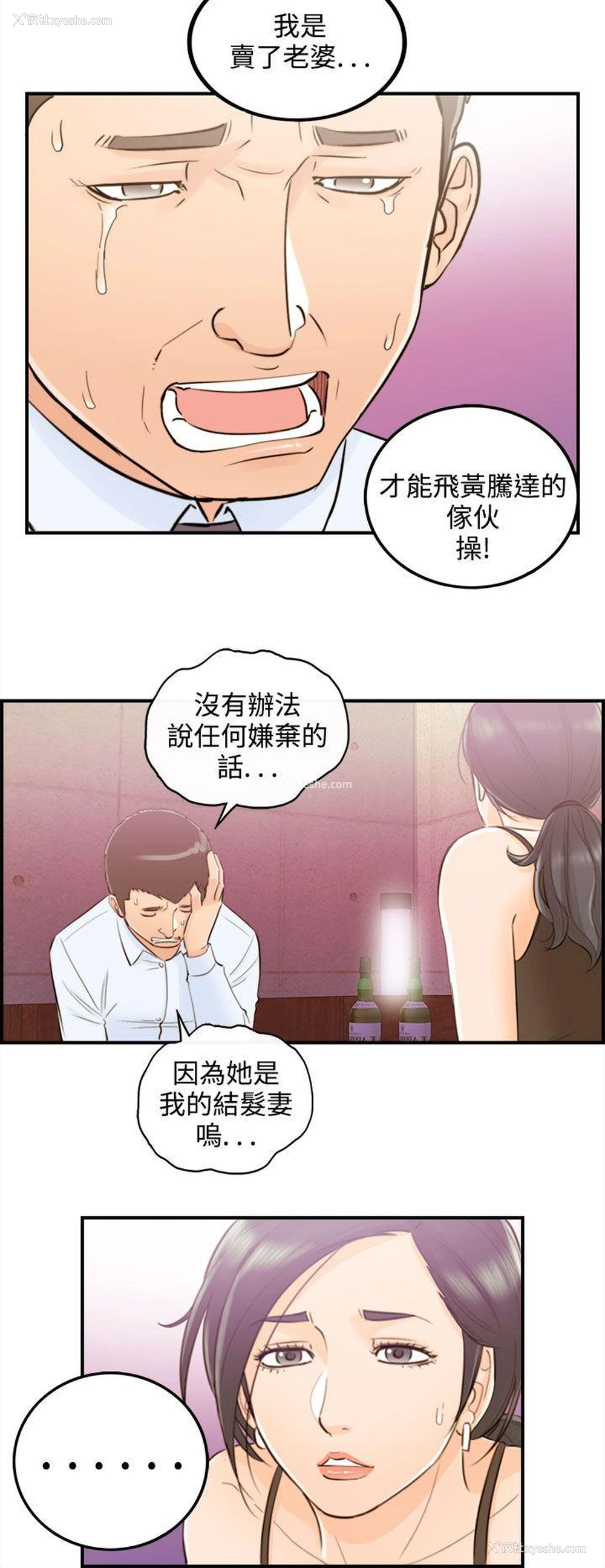 6P - 离婚报告书