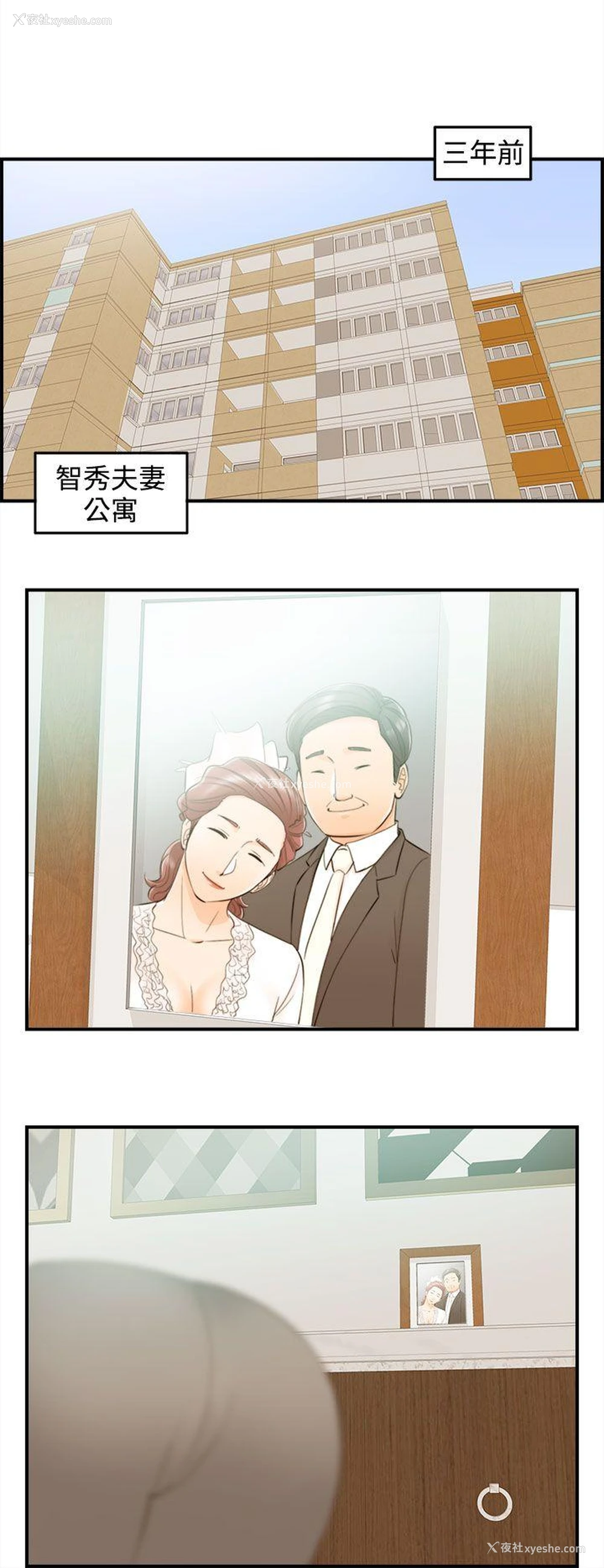 12P - 离婚报告书