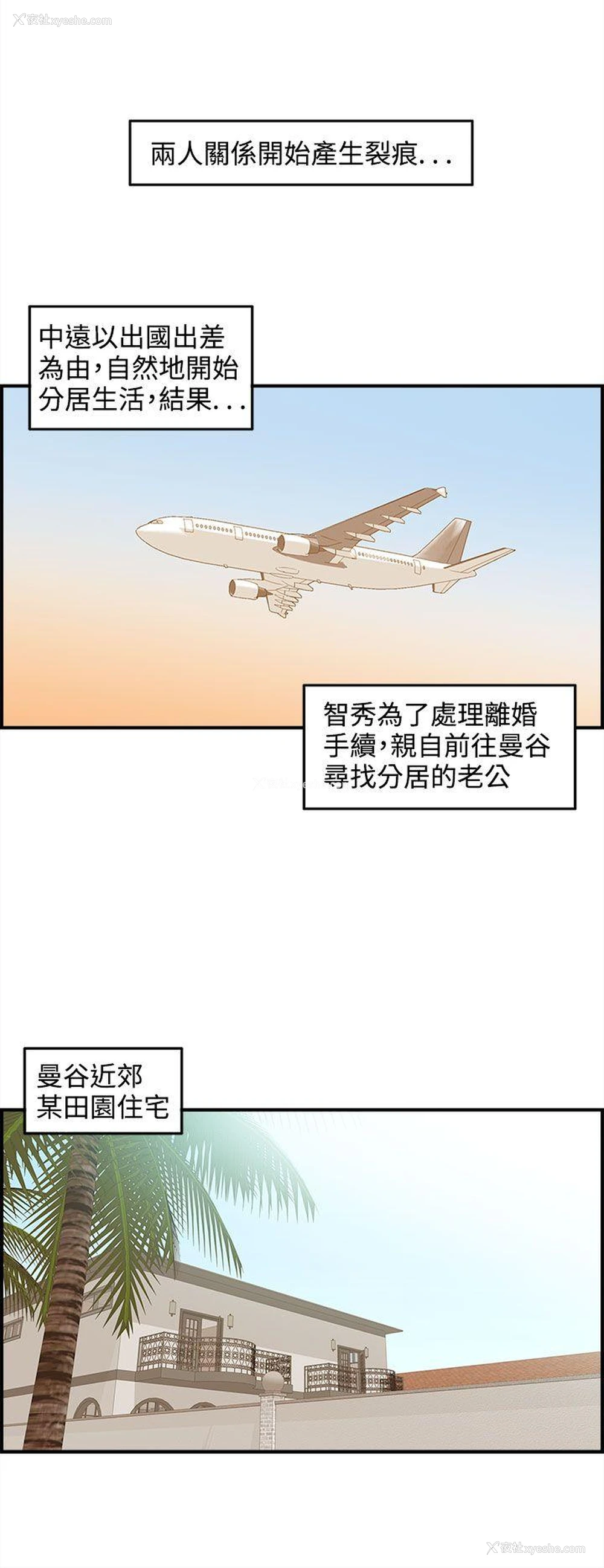 12P - 离婚报告书