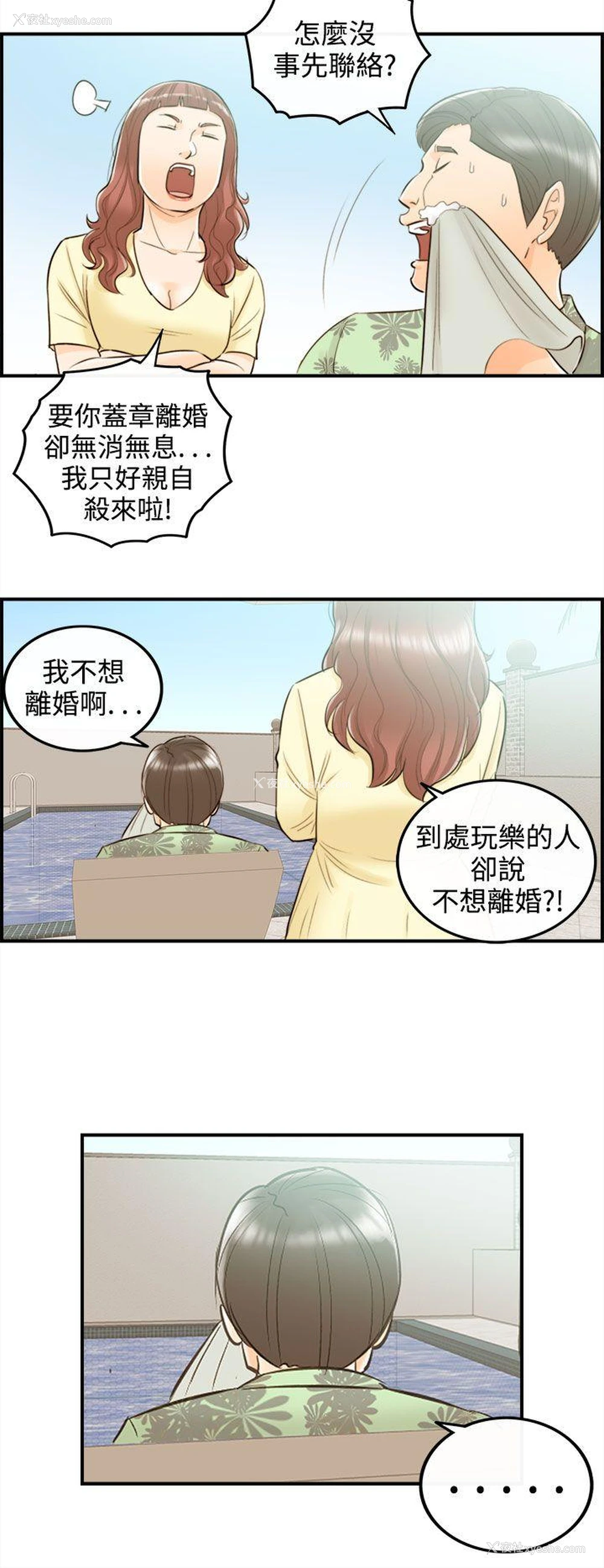 16P - 离婚报告书