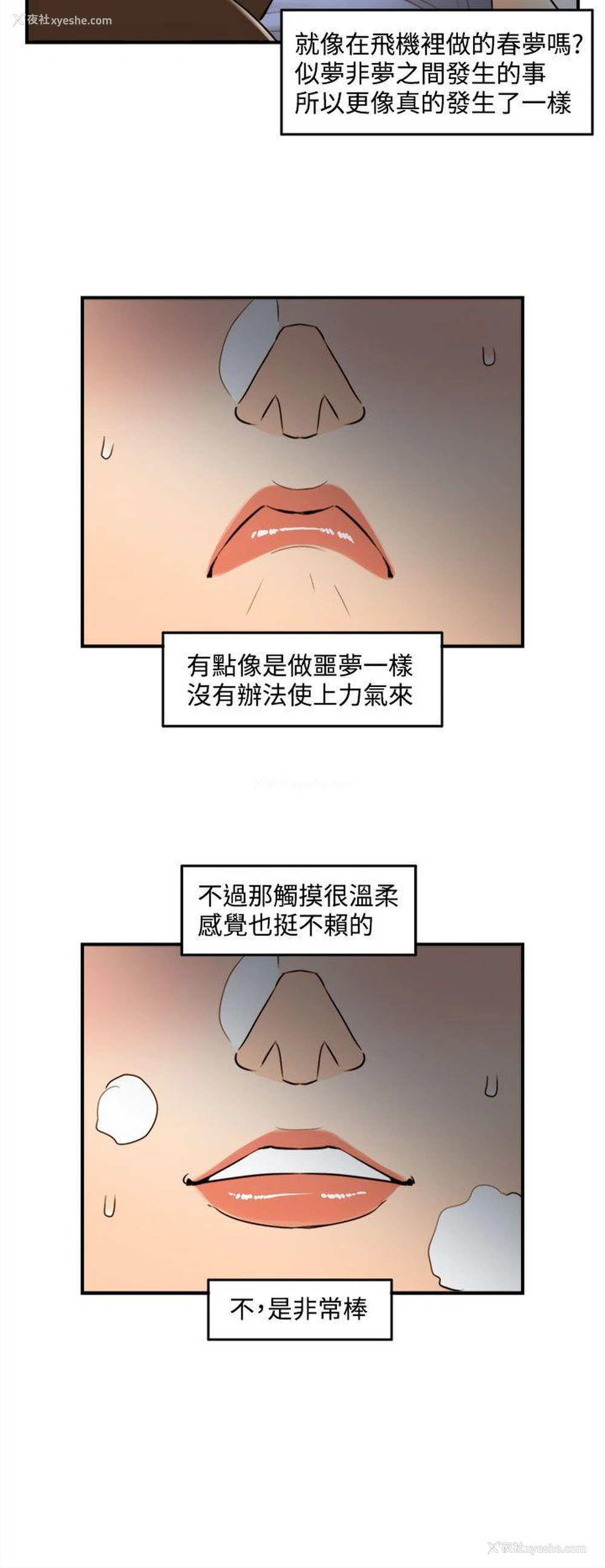 14P - 离婚报告书