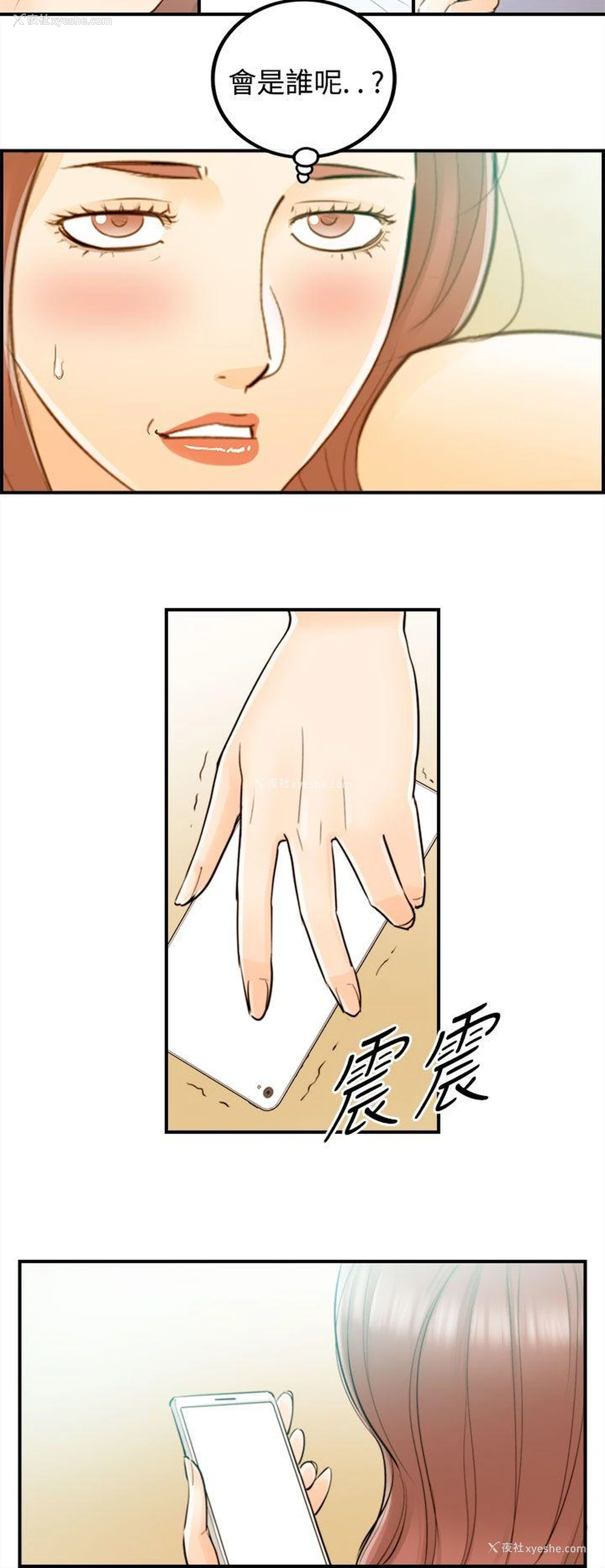 10P - 离婚报告书