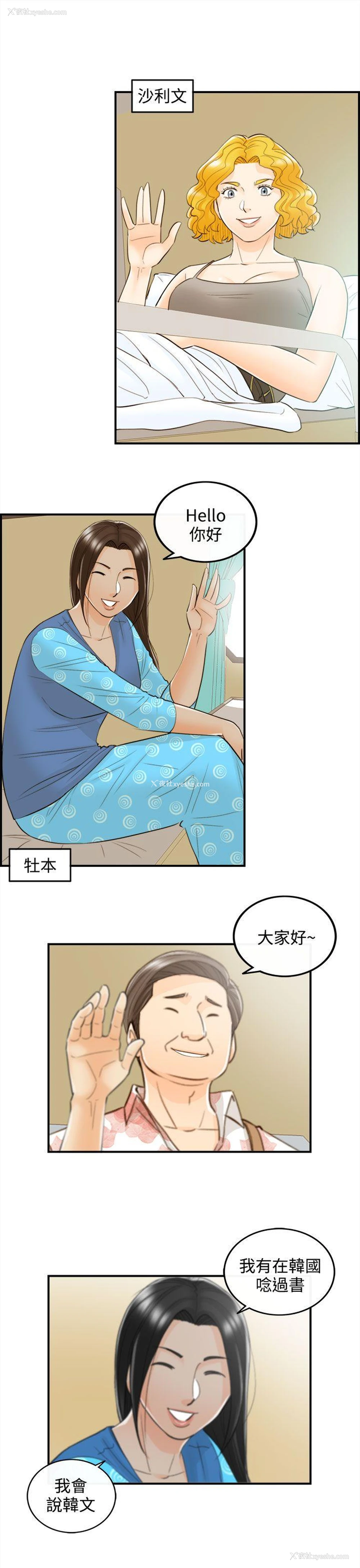 15P - 离婚报告书