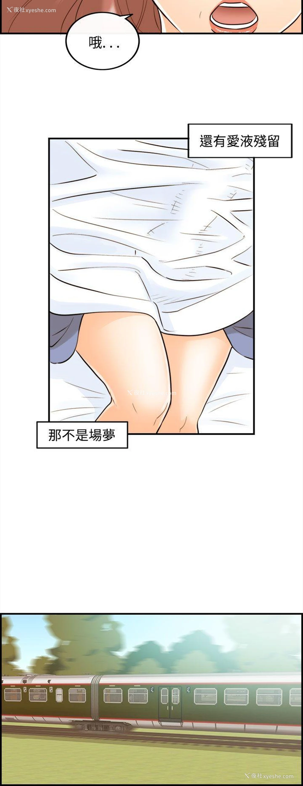 2P - 离婚报告书