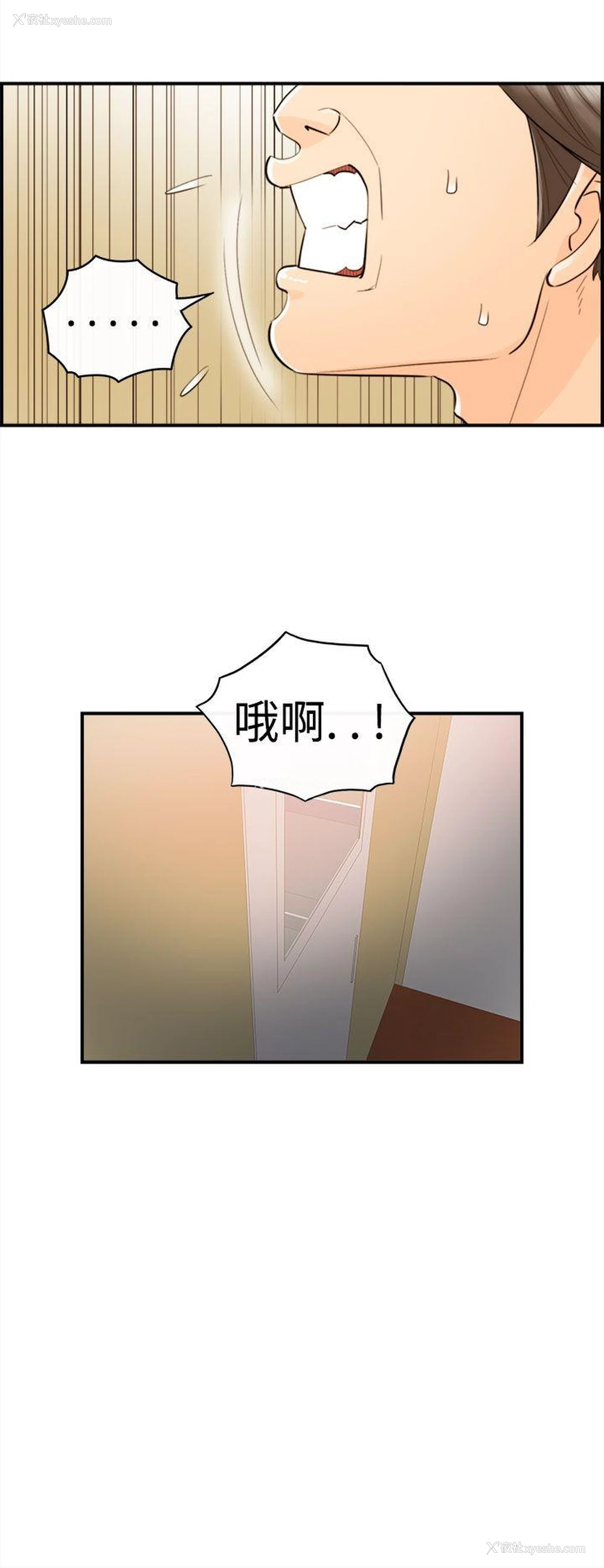 10P - 离婚报告书