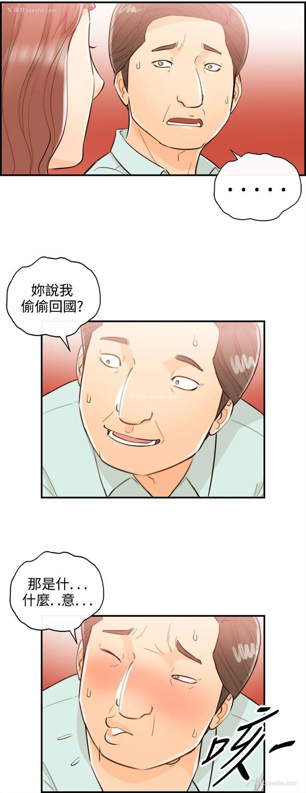 12P - 离婚报告书