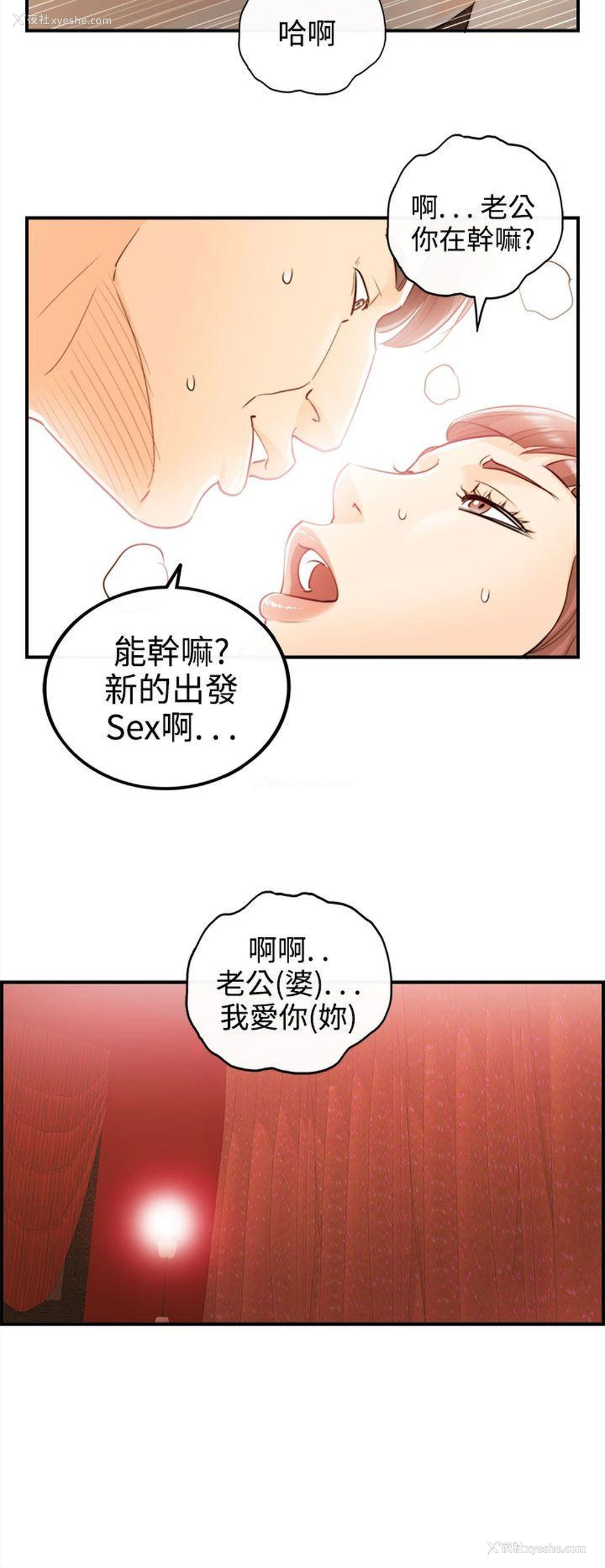 16P - 离婚报告书