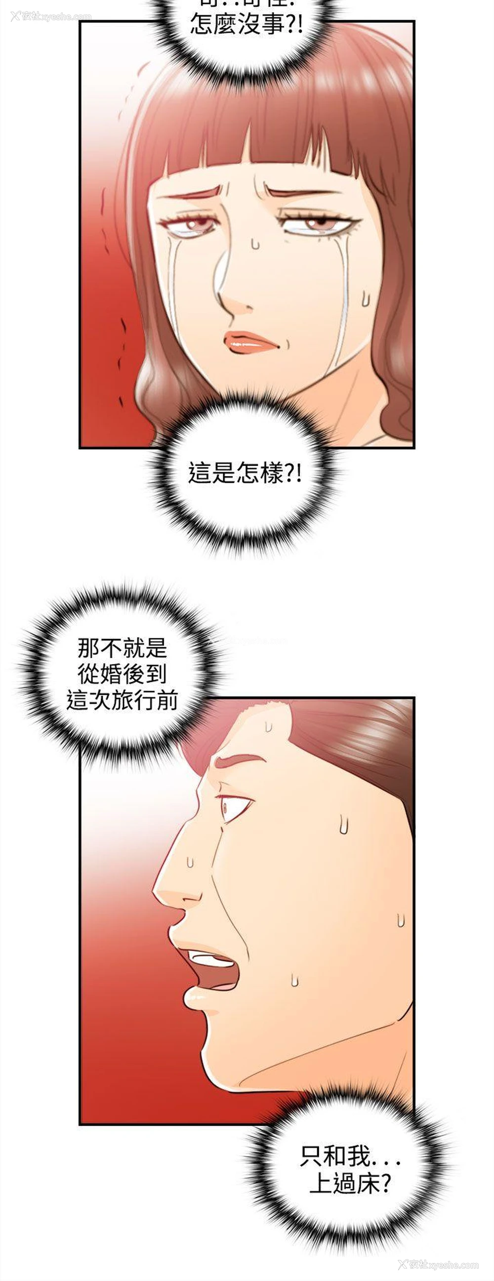 4P - 离婚报告书