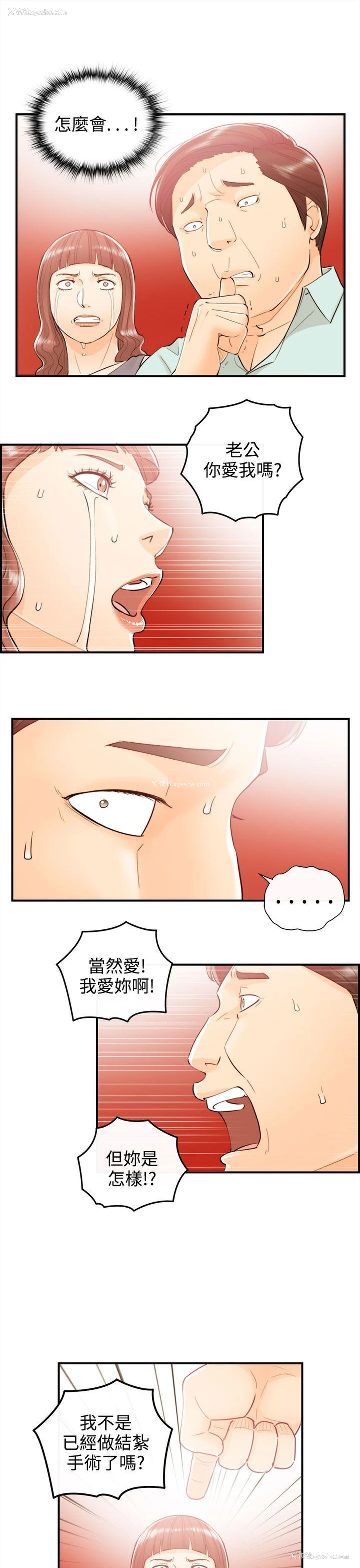 5P - 离婚报告书
