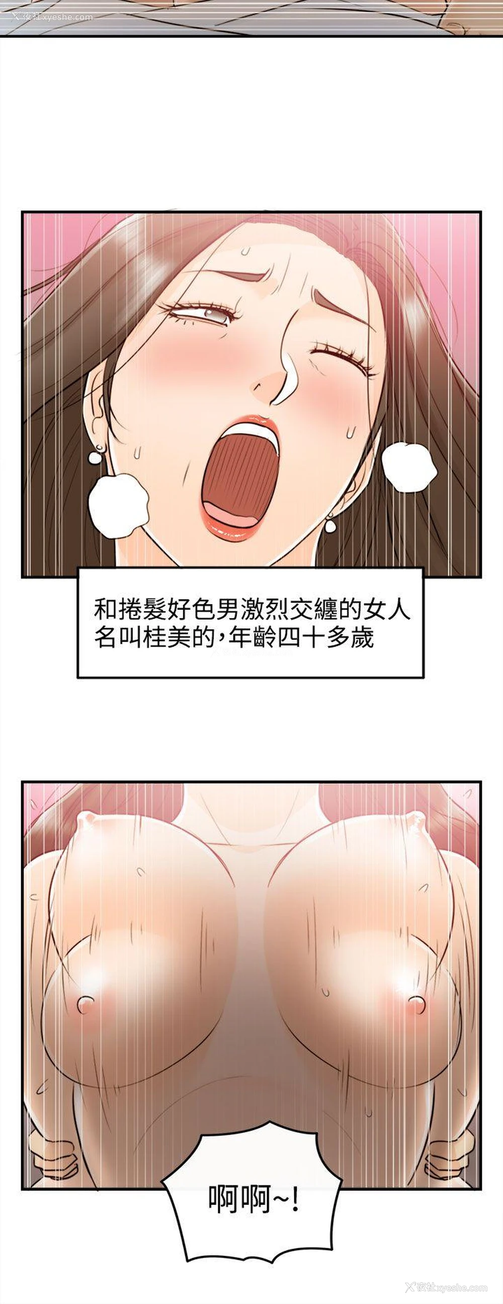 2P - 离婚报告书