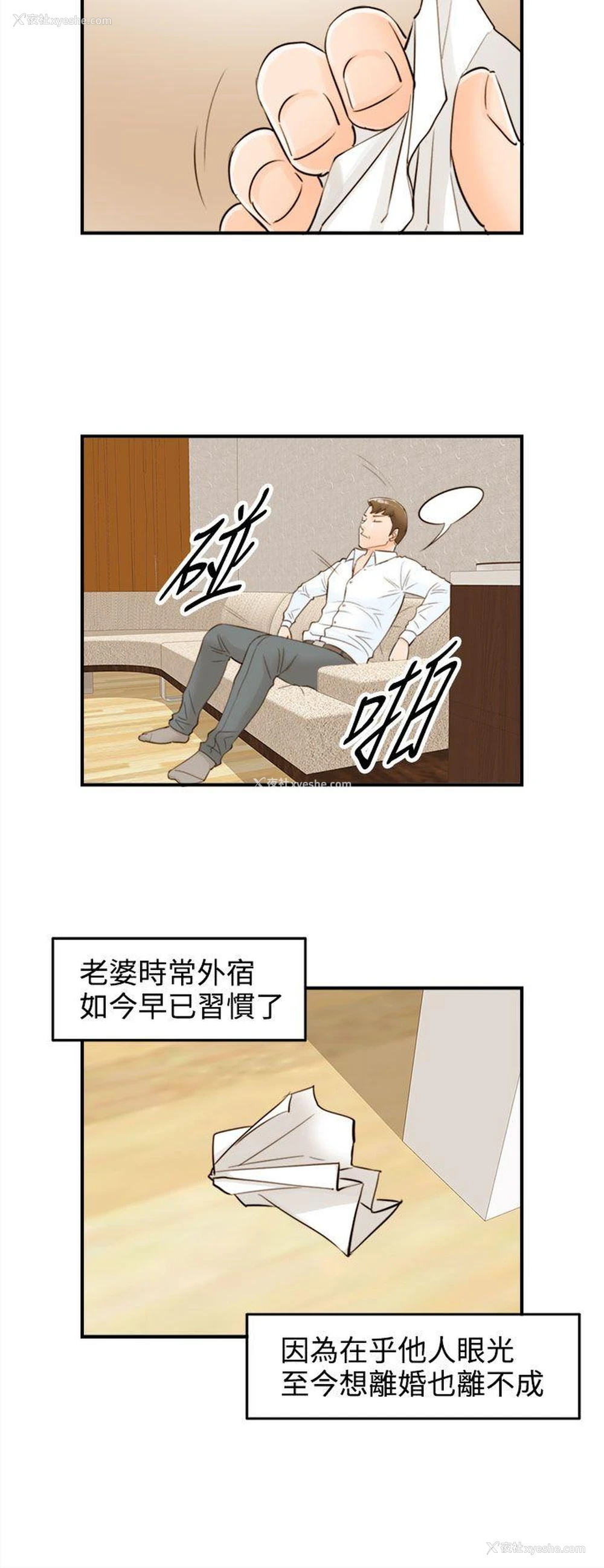 6P - 离婚报告书