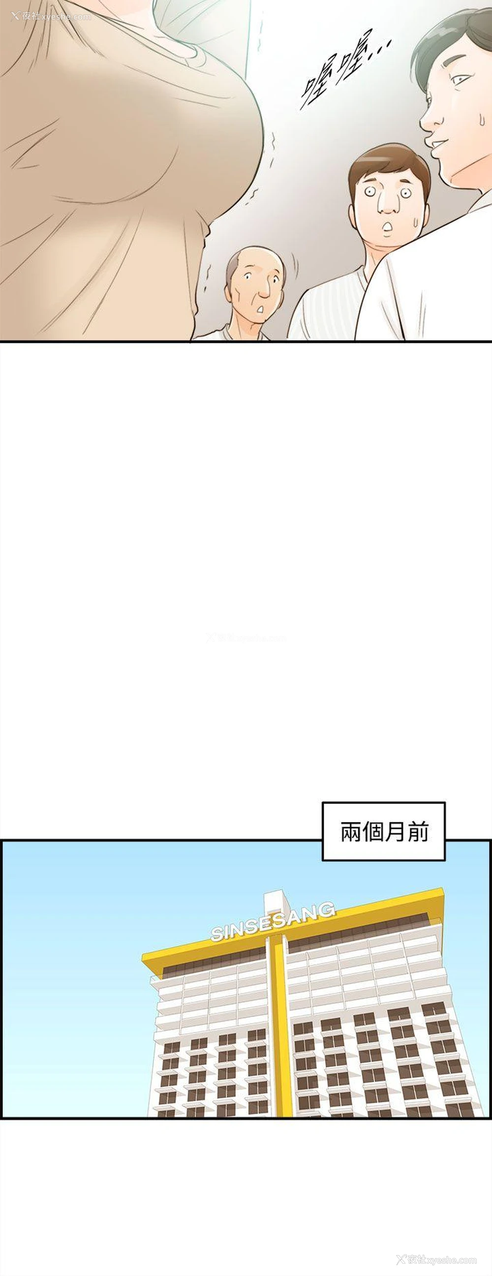 12P - 离婚报告书