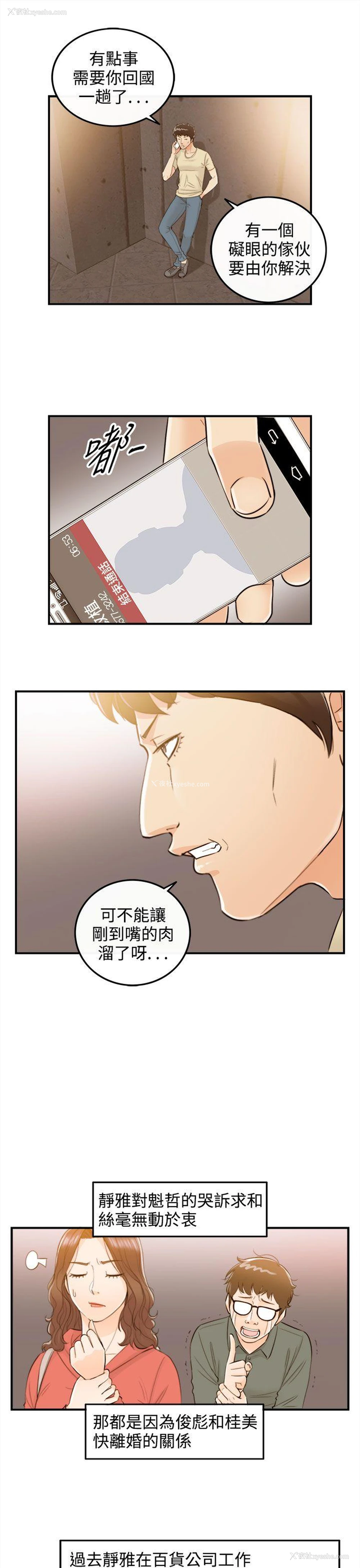 3P - 离婚报告书