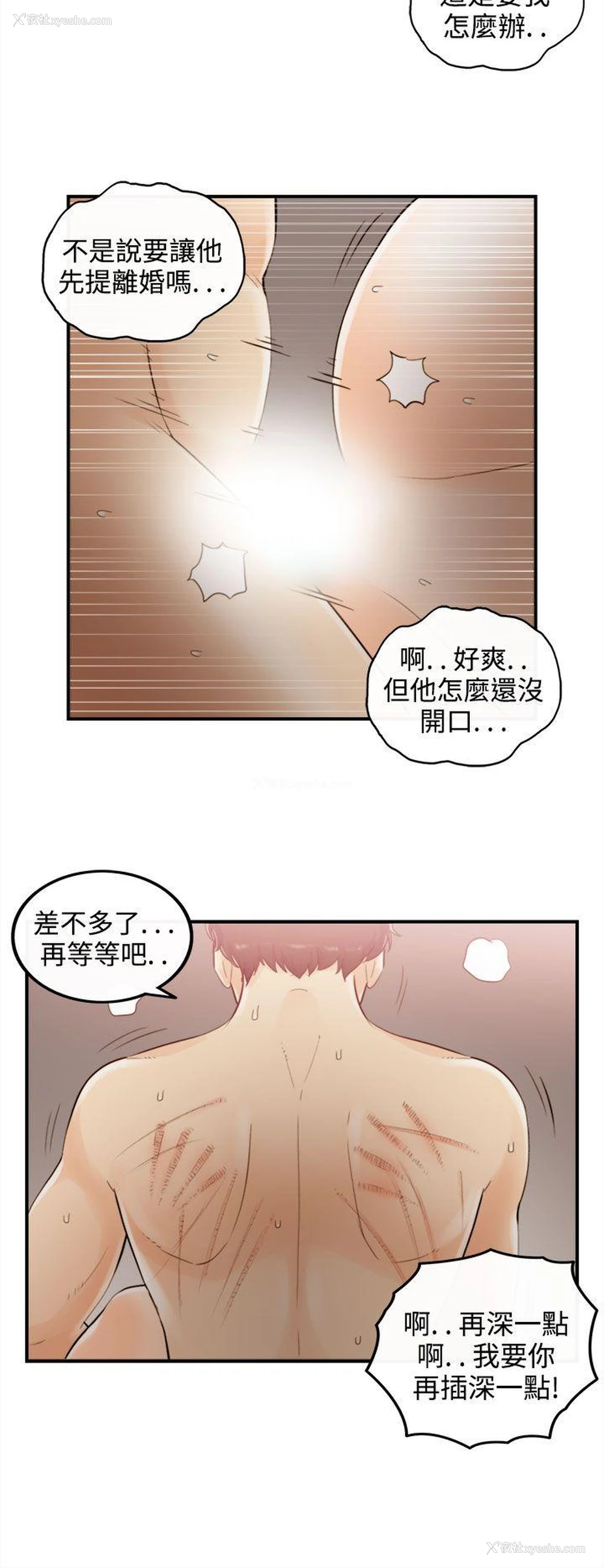 4P - 离婚报告书