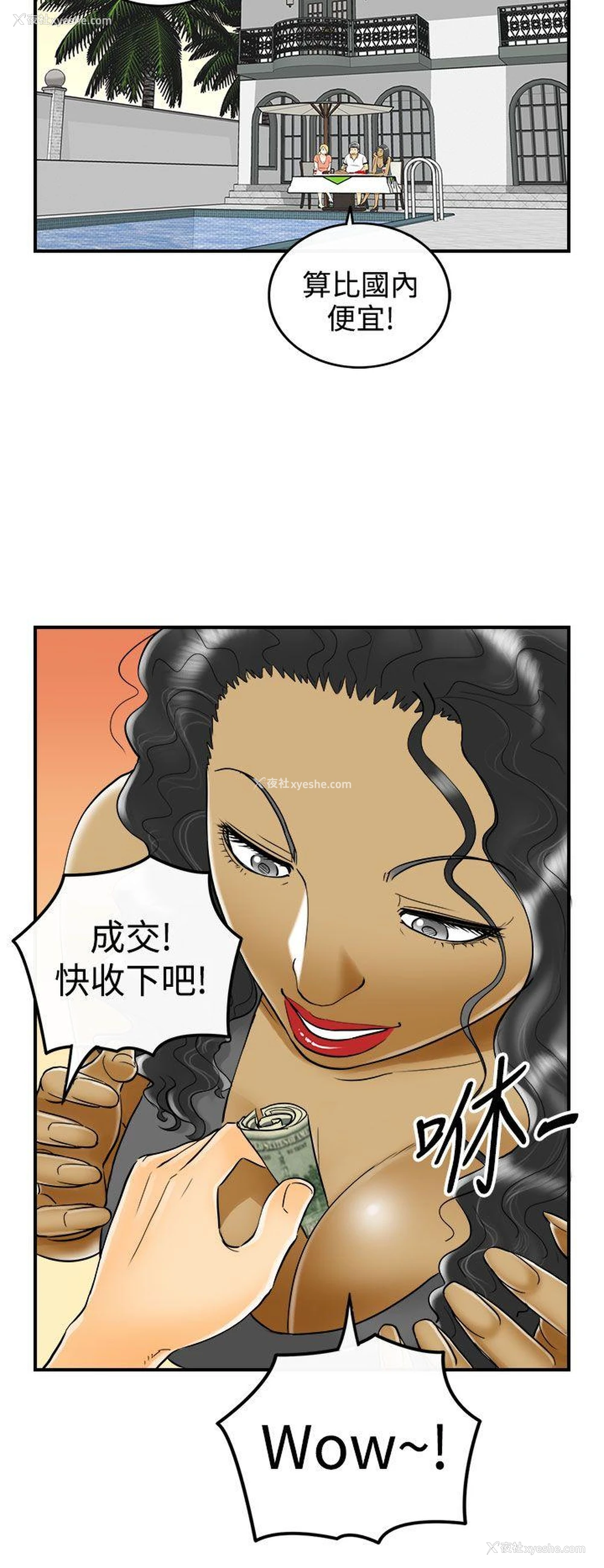 12P - 离婚报告书