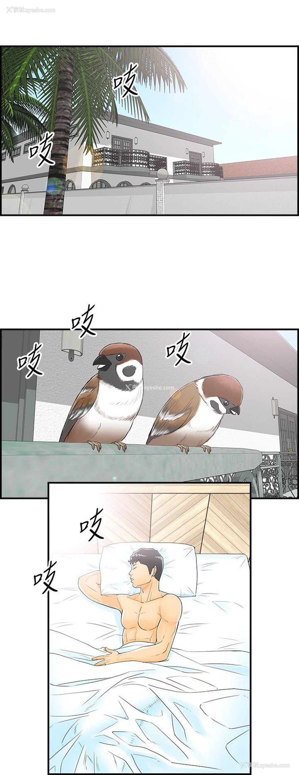 2P - 离婚报告书