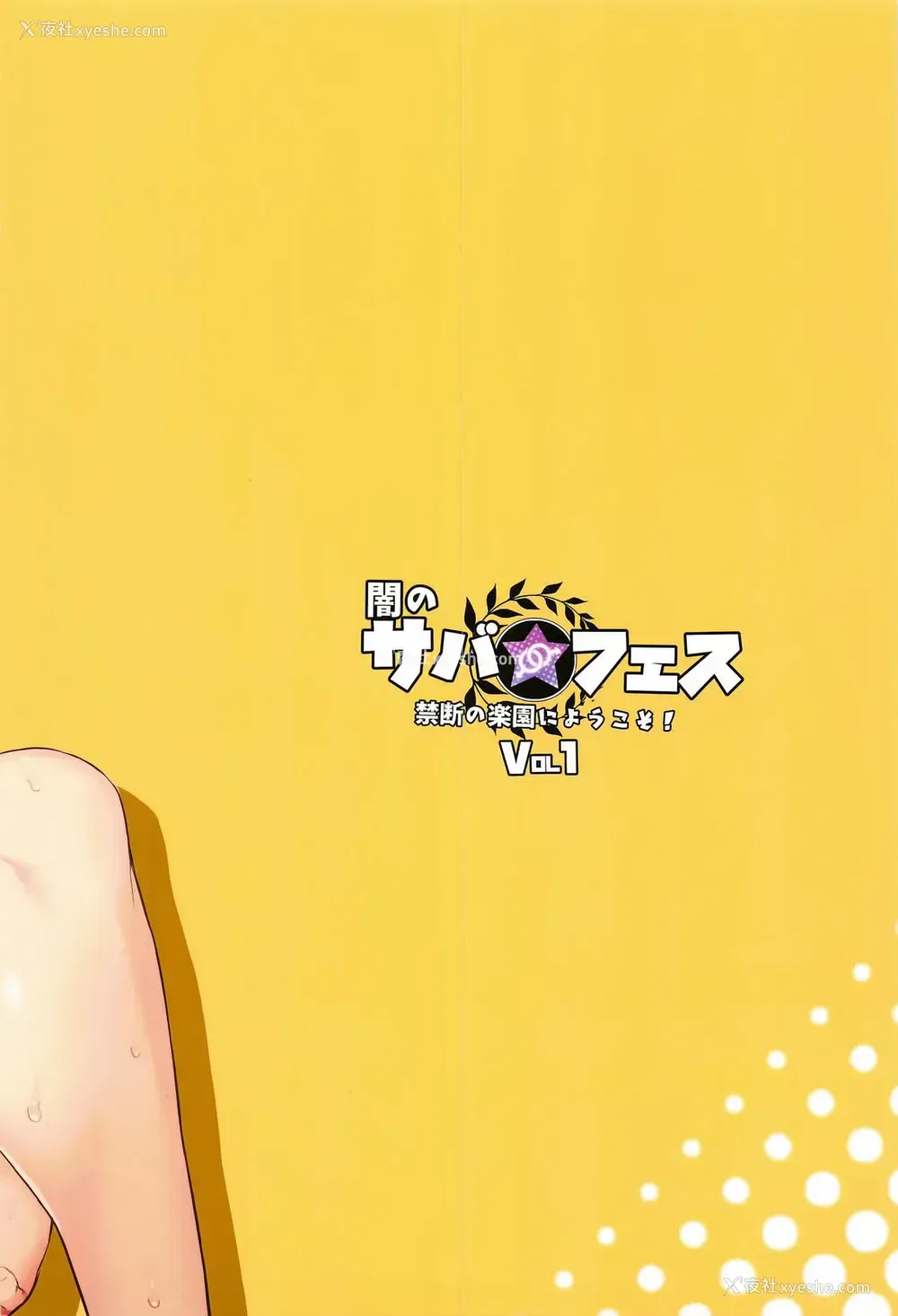 28P - (C95) [淫乱少年 (ジャイロウ)] 暗のサバ★フェス 禁断の楽园にようこそ！ (Fate/Grand Order) [中国翻訳]