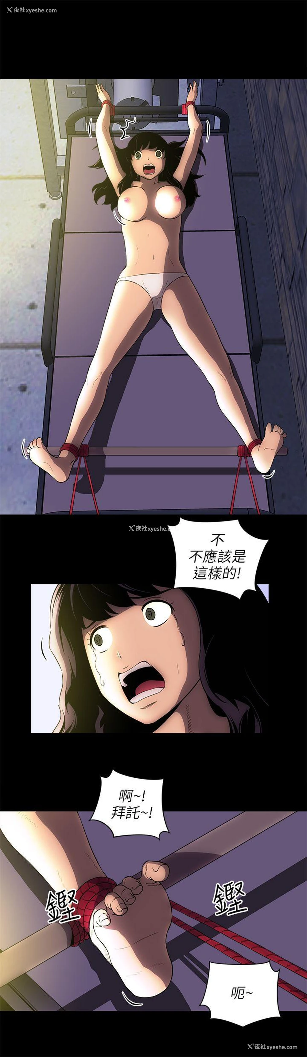 9P - 欢乐满屋