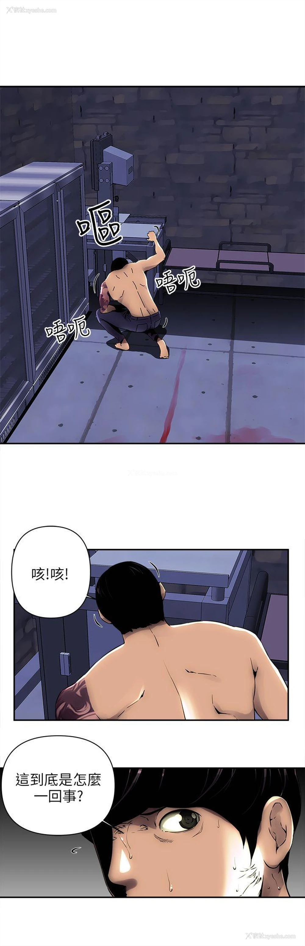 9P - 欢乐满屋